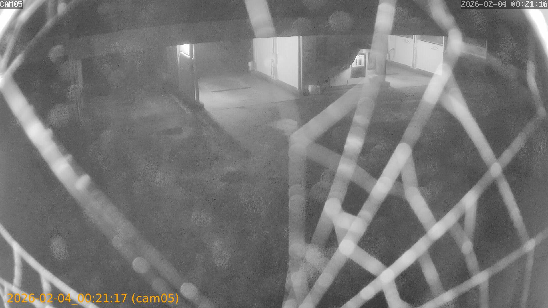 thumbnail_20260204002117