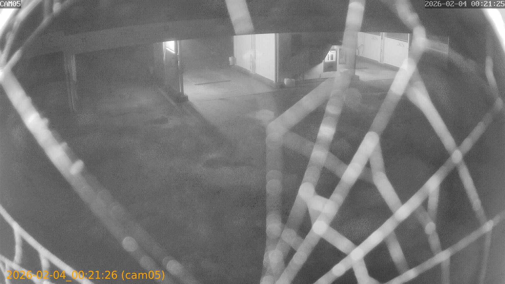 thumbnail_20260204002126