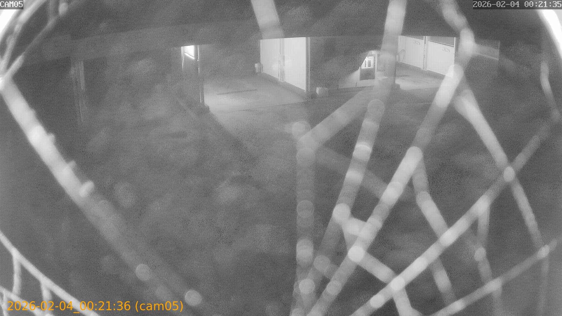 thumbnail_20260204002136