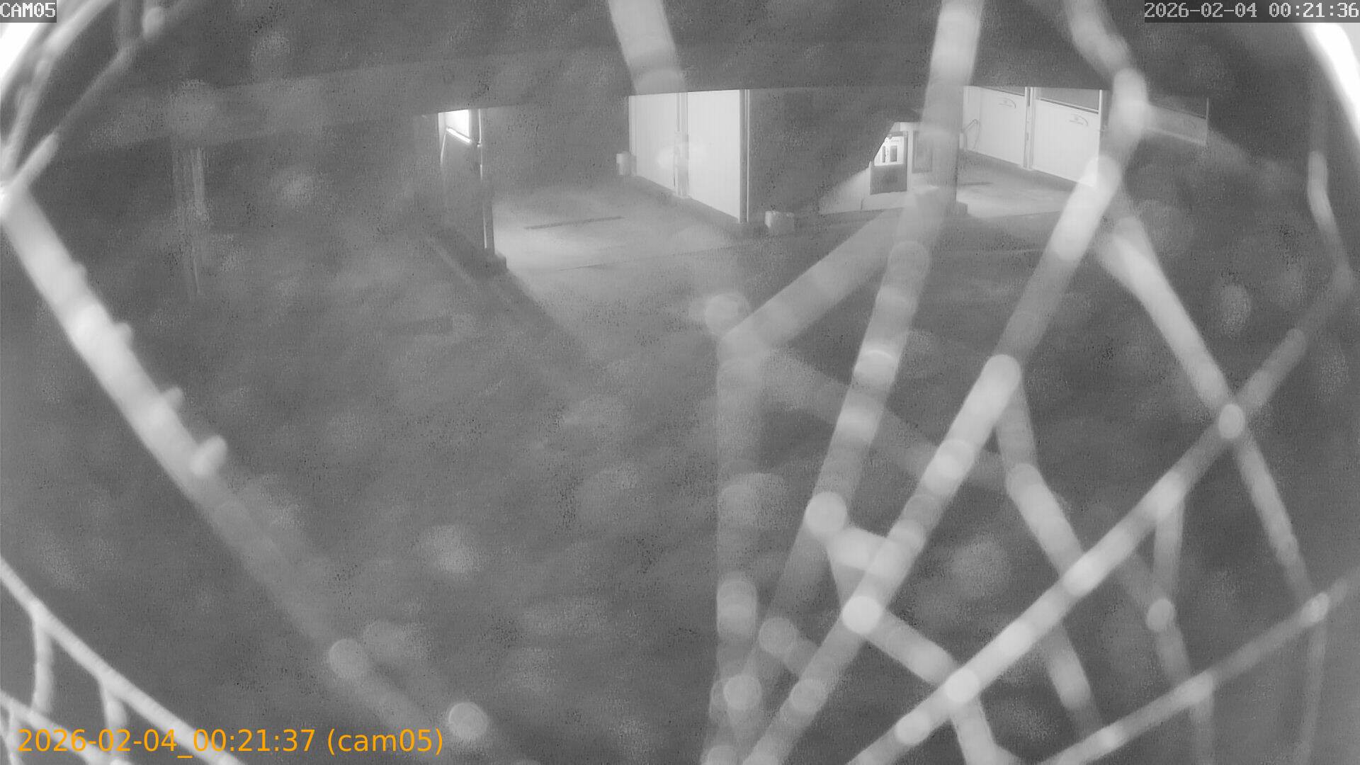 thumbnail_20260204002137