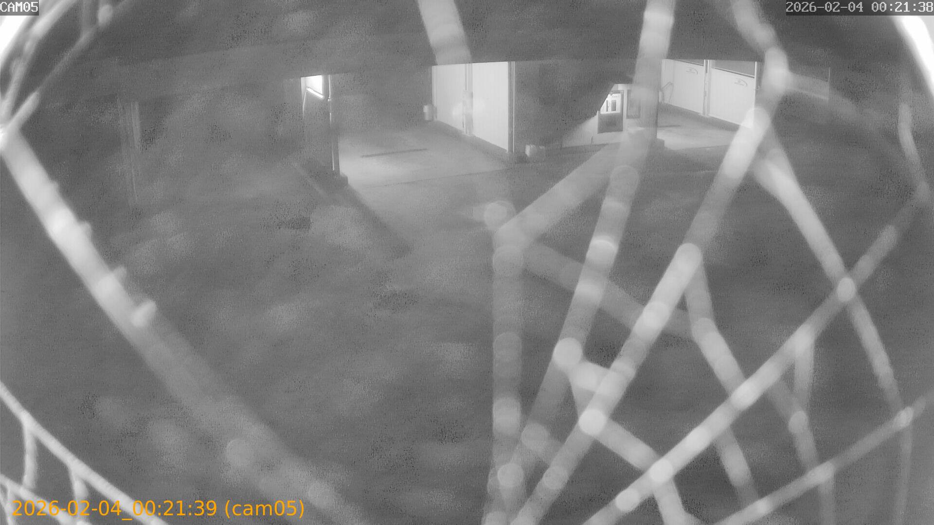 thumbnail_20260204002139