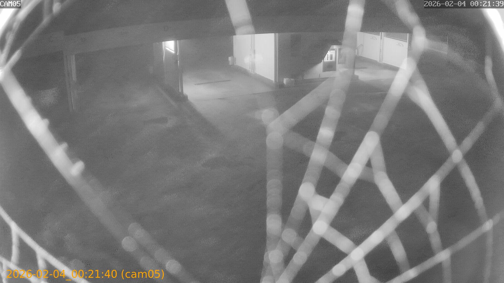 thumbnail_20260204002140