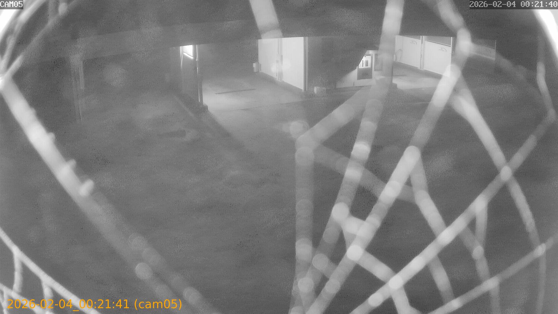 thumbnail_20260204002141