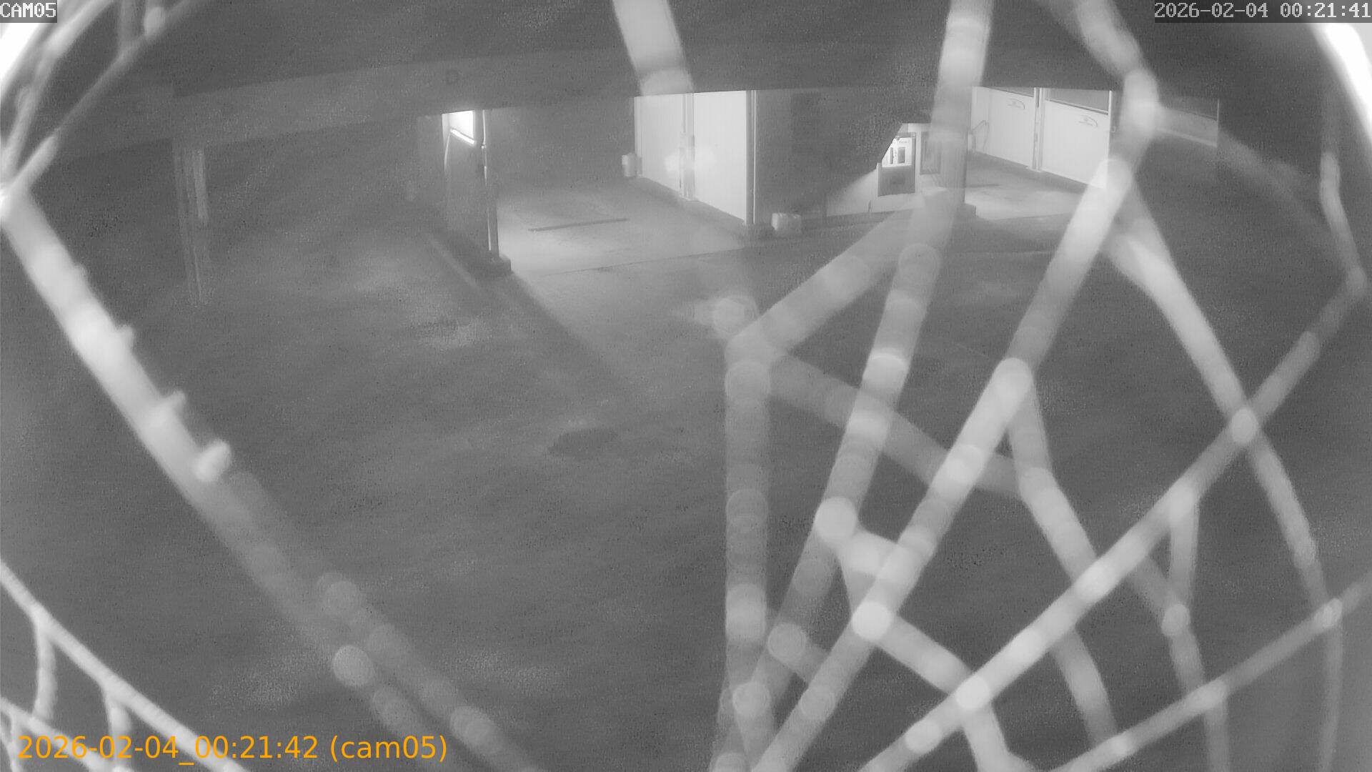 thumbnail_20260204002142