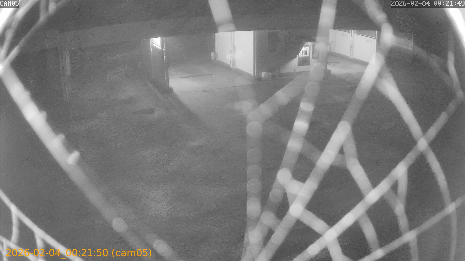 thumbnail_20260204002150