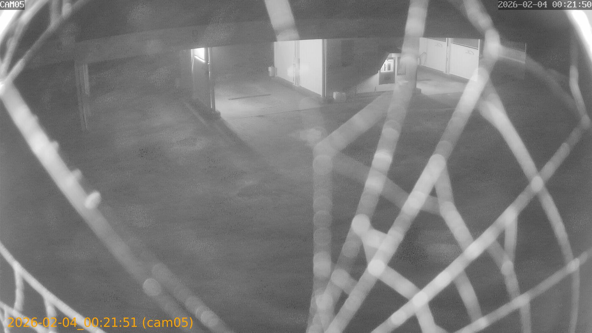 thumbnail_20260204002151