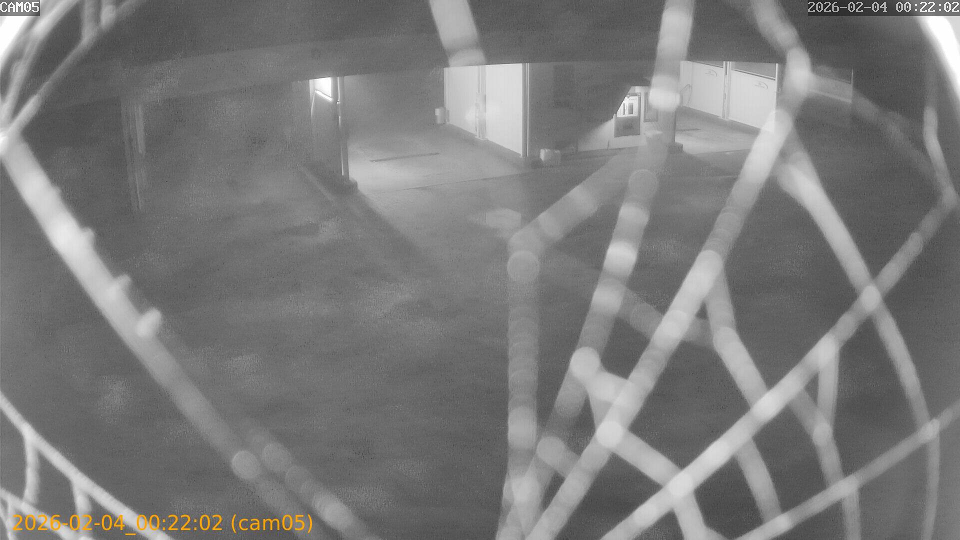 thumbnail_20260204002202