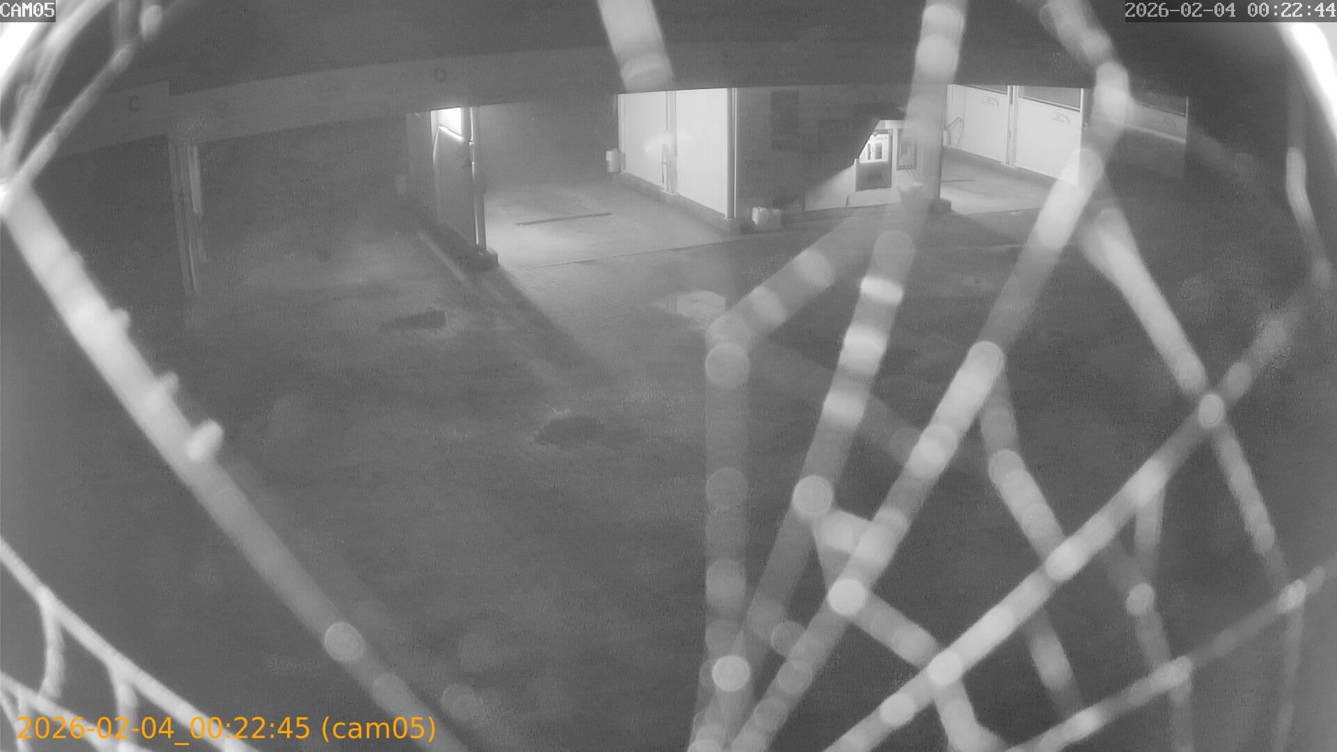 thumbnail_20260204002245