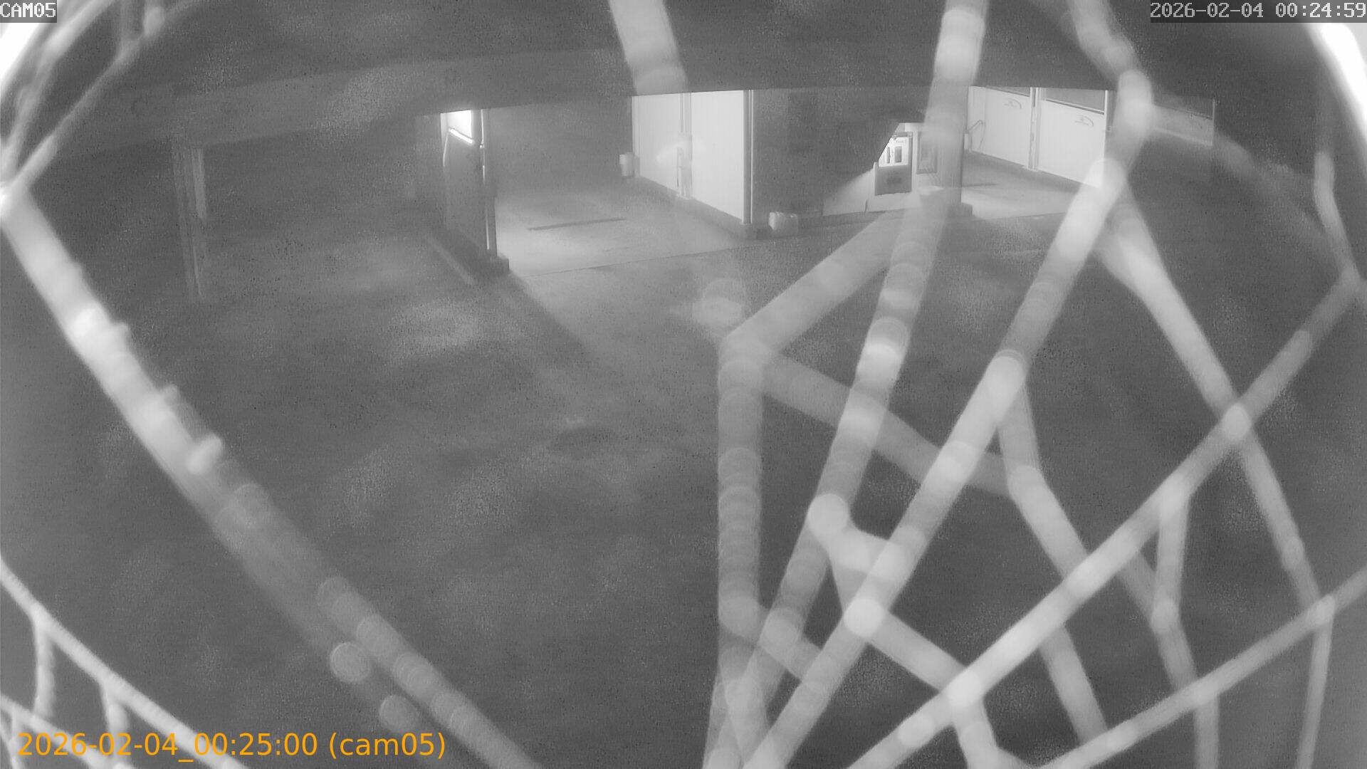 thumbnail_20260204002500