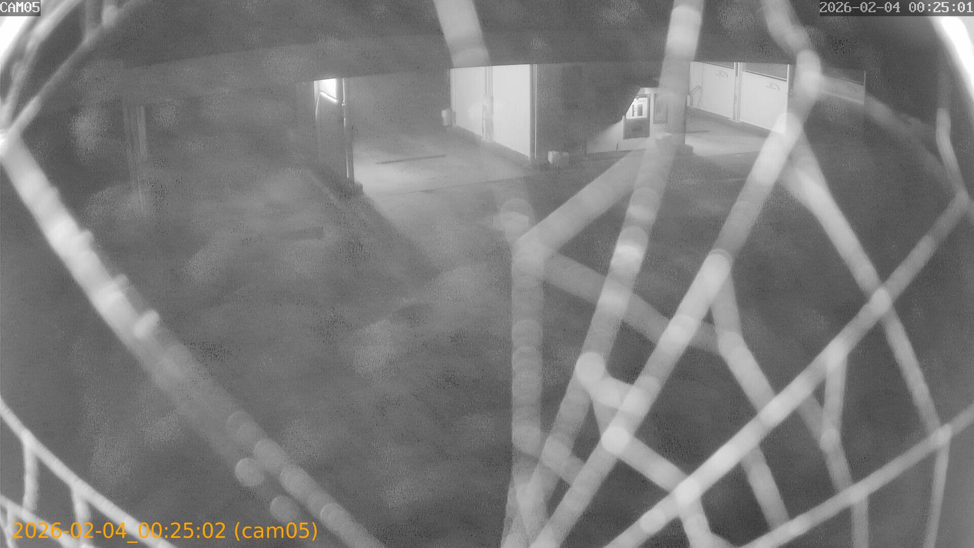 thumbnail_20260204002502