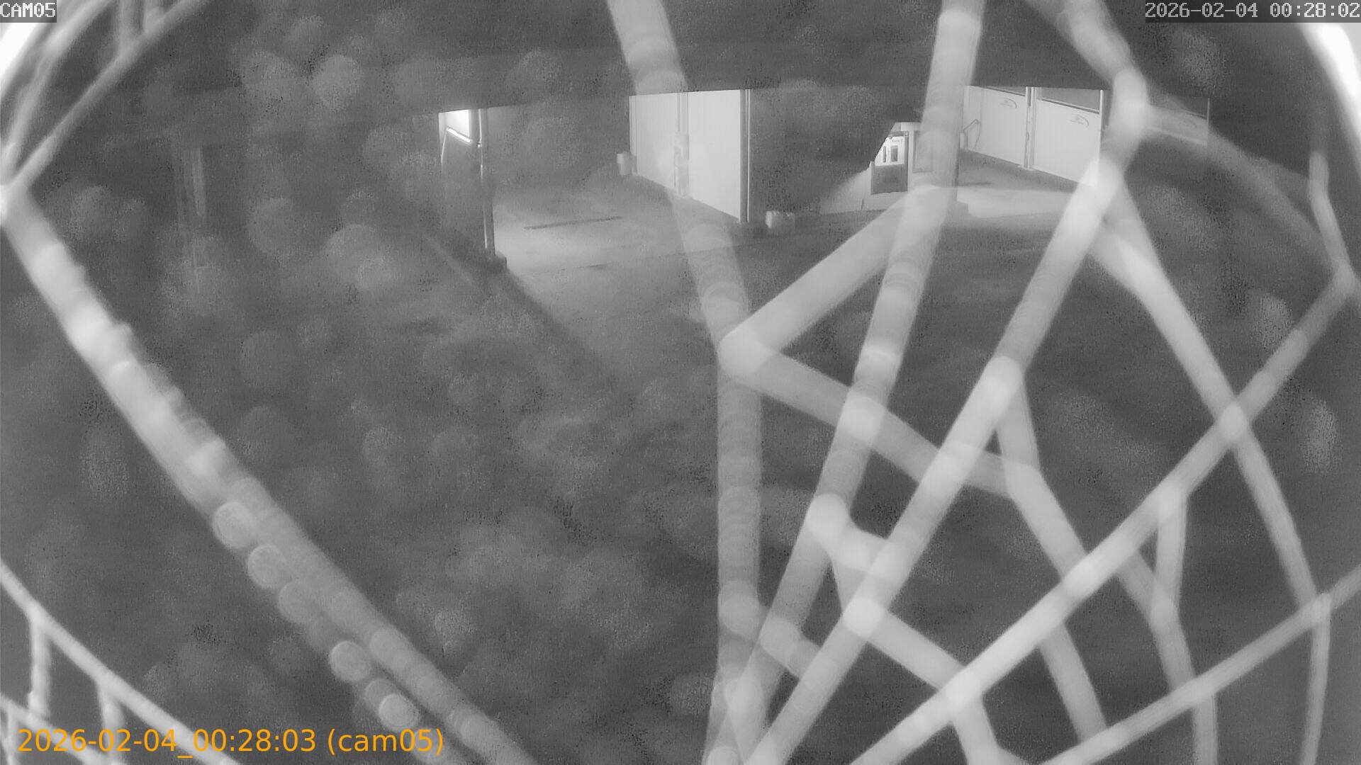 thumbnail_20260204002803