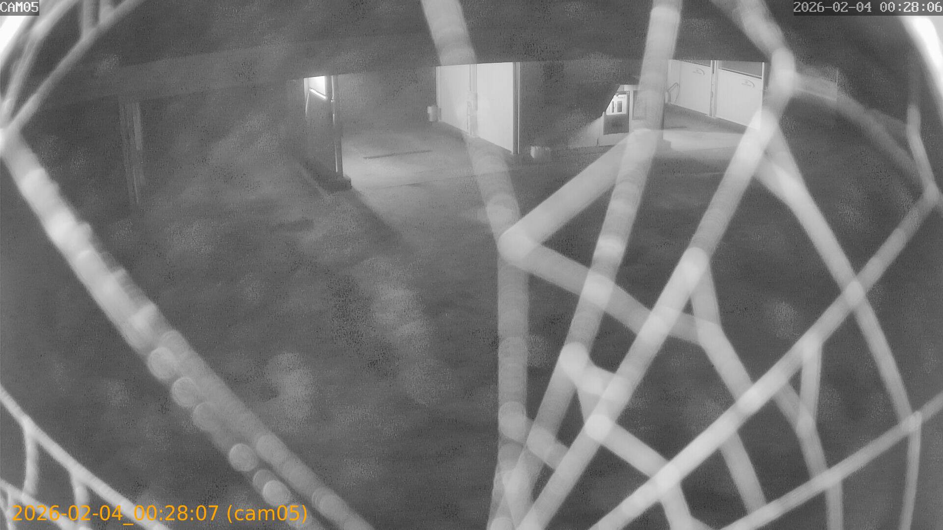 thumbnail_20260204002807