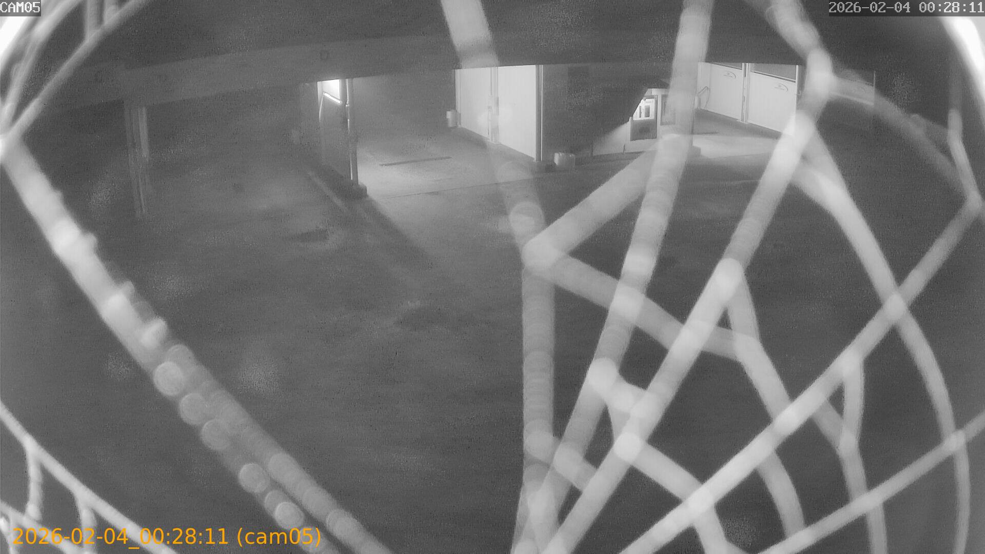 thumbnail_20260204002811