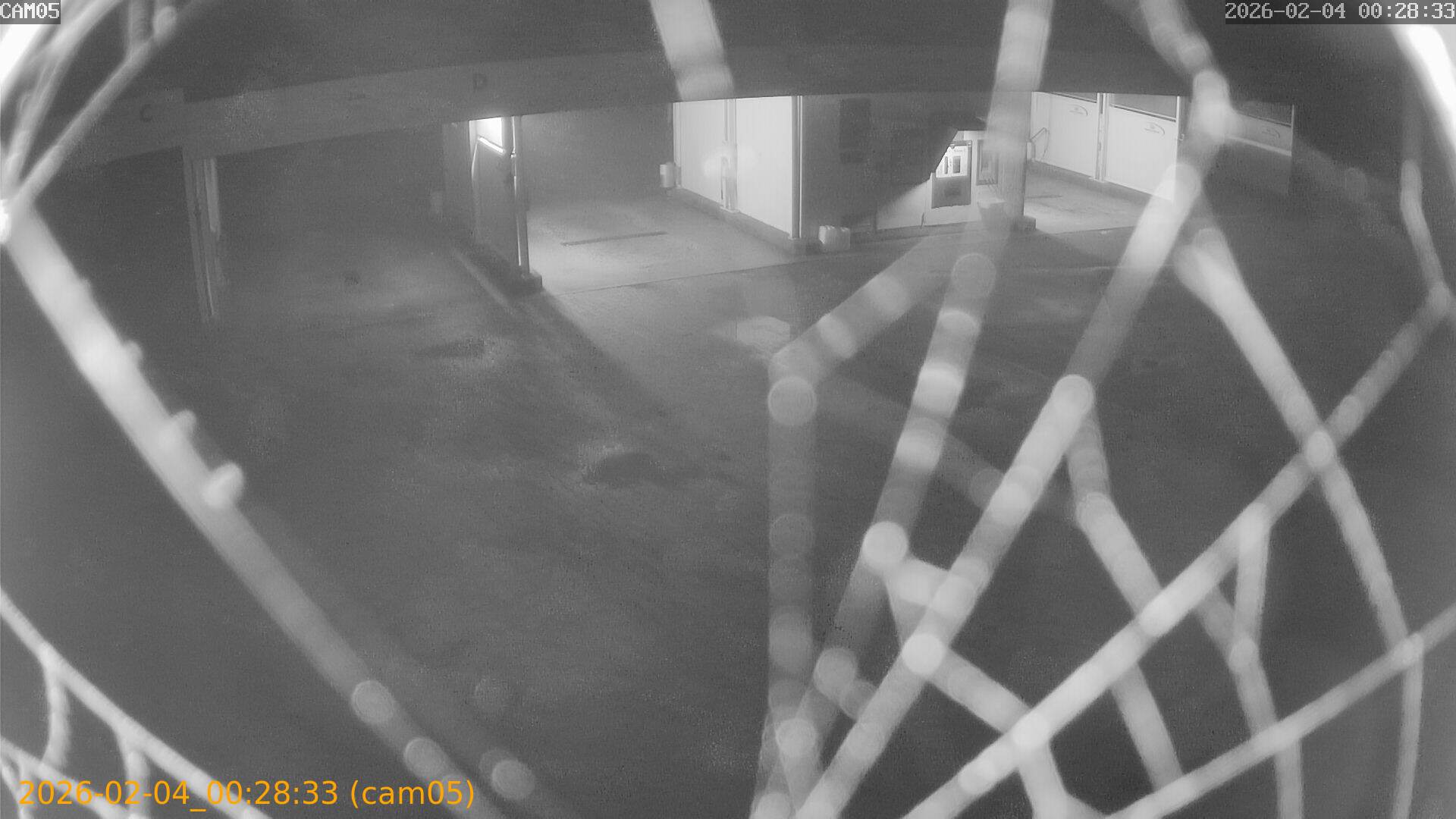 thumbnail_20260204002833