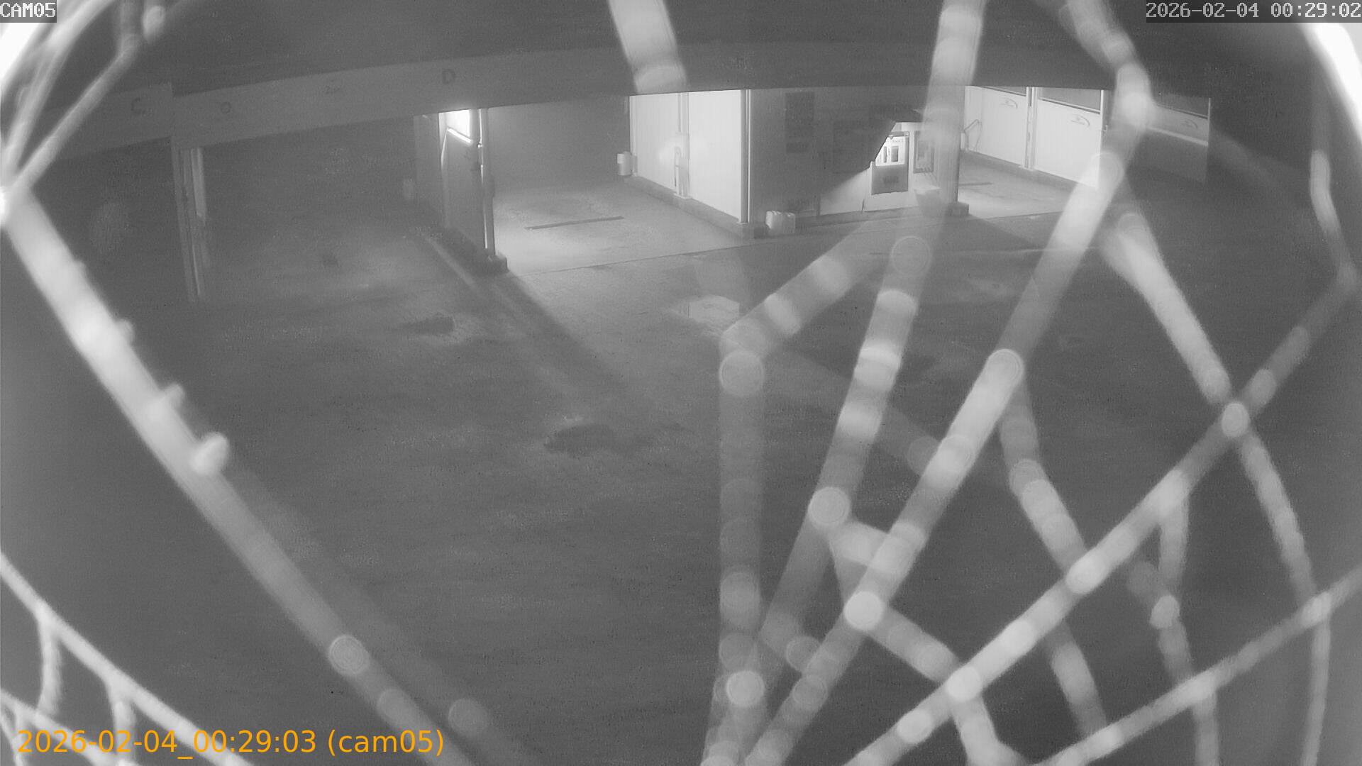 thumbnail_20260204002903