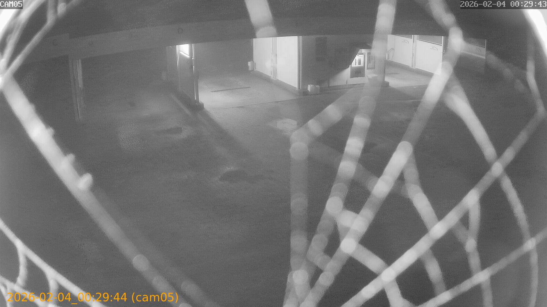 thumbnail_20260204002944