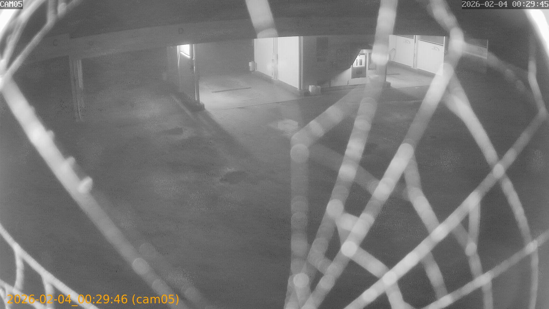 thumbnail_20260204002946