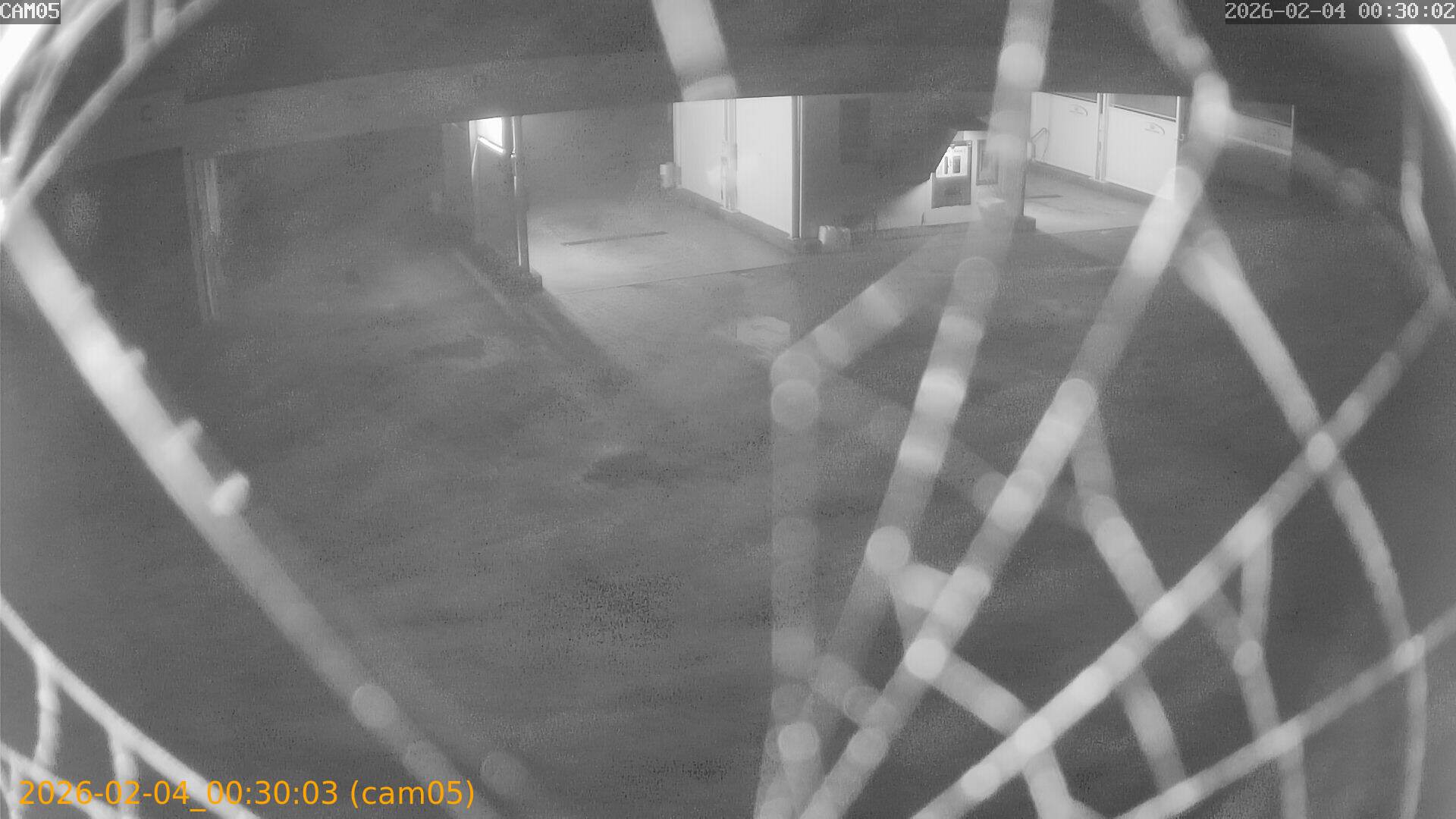 thumbnail_20260204003003