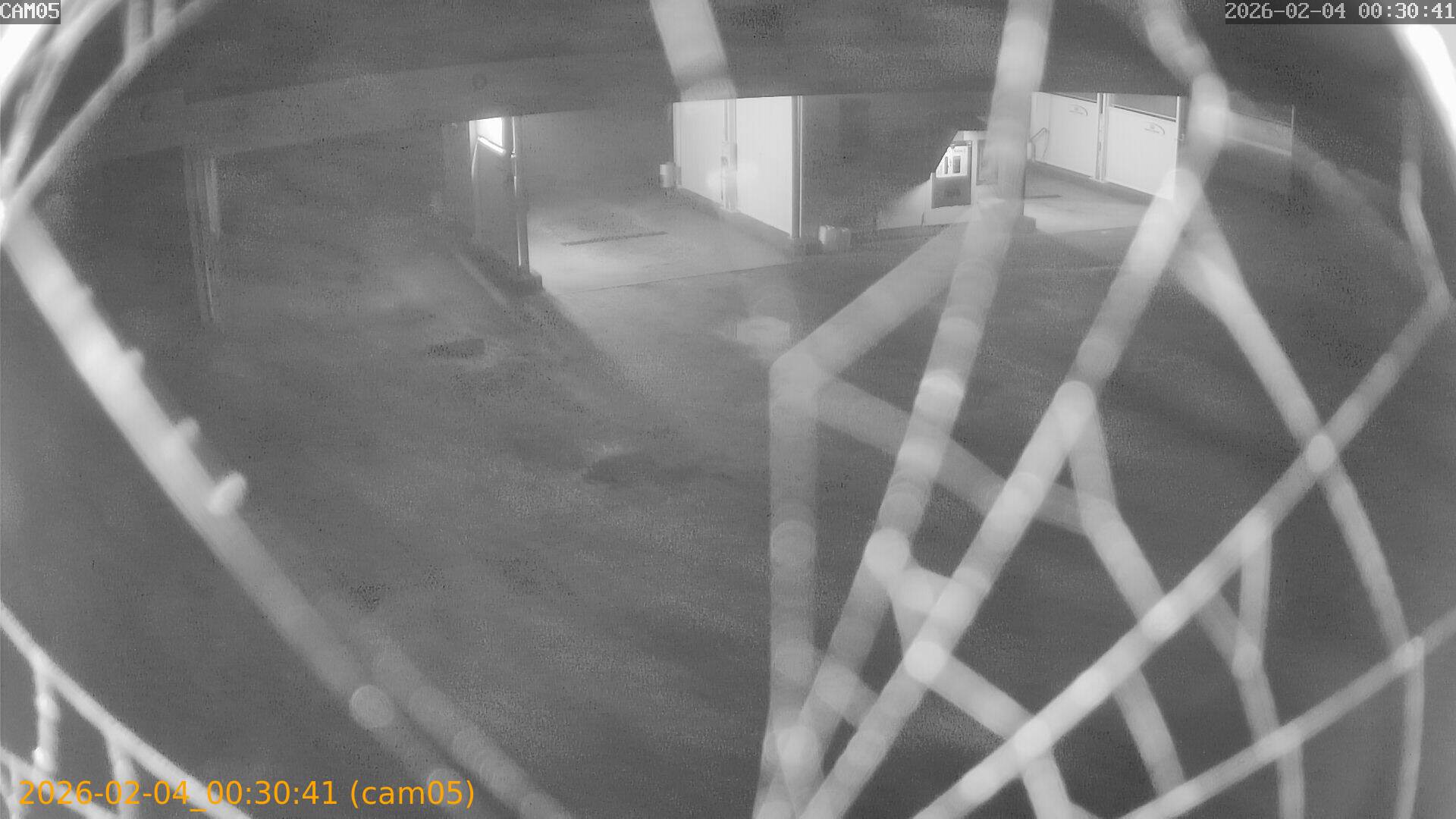 thumbnail_20260204003041