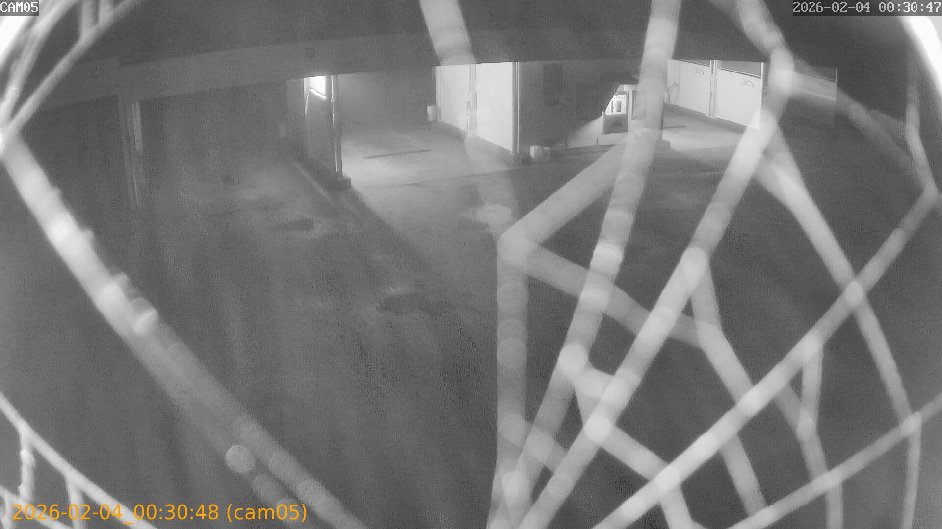 thumbnail_20260204003048