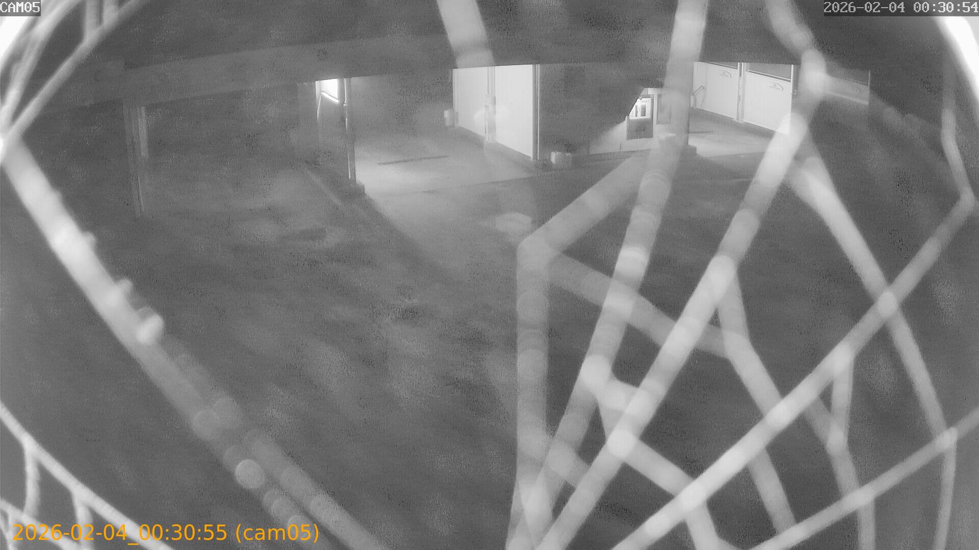 thumbnail_20260204003055