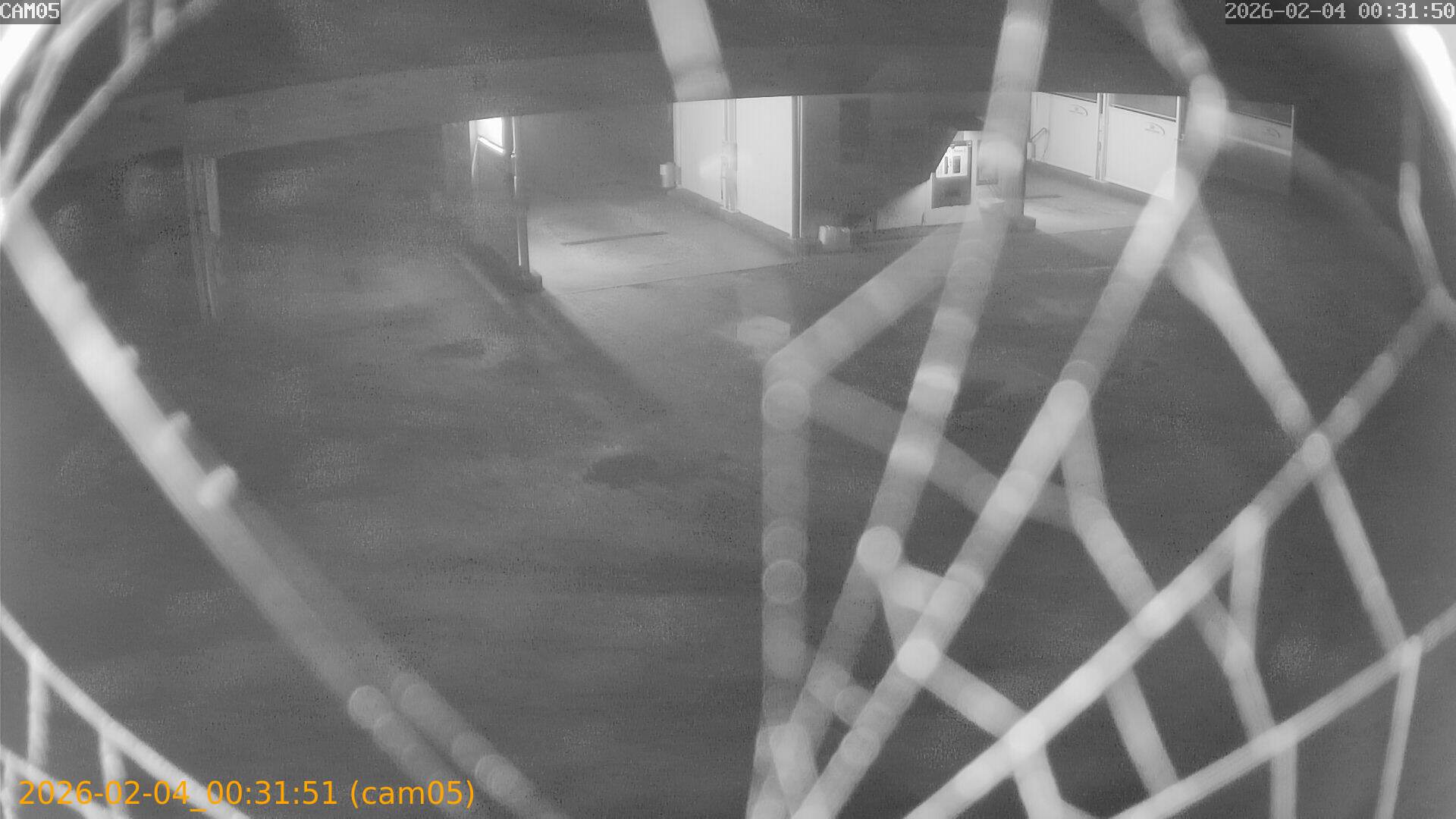 thumbnail_20260204003151