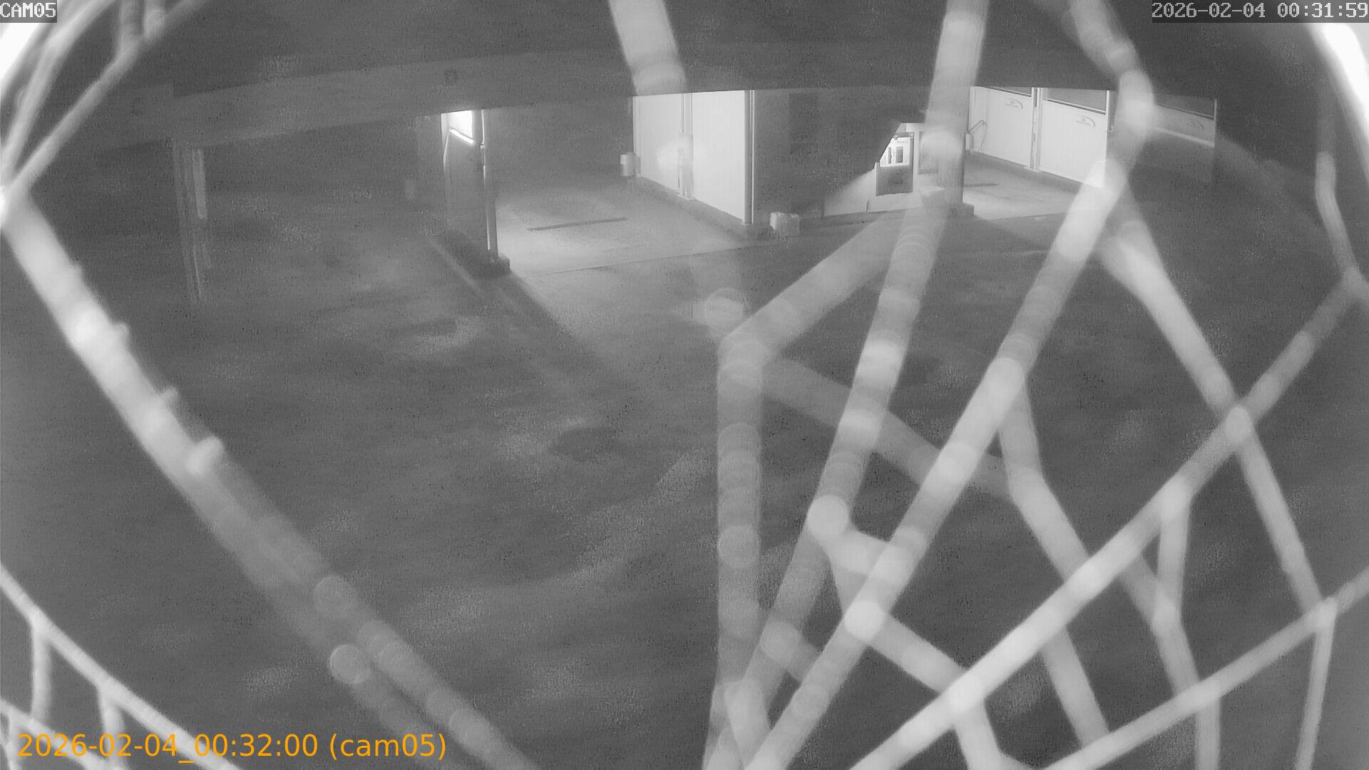 thumbnail_20260204003200