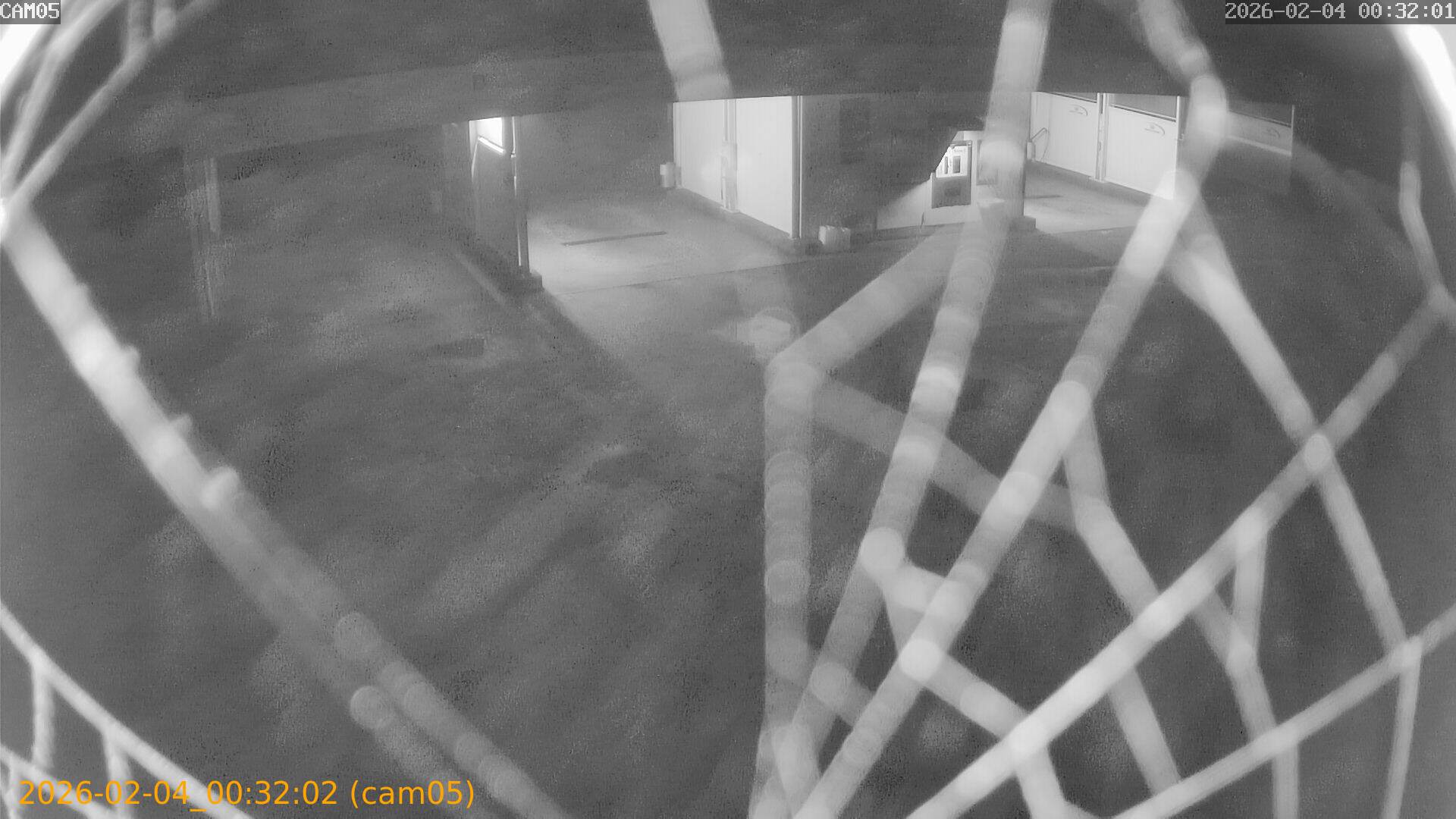 thumbnail_20260204003202