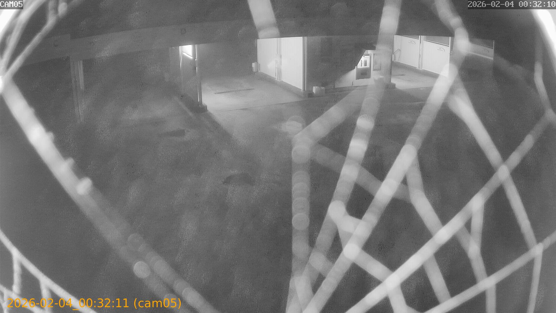 thumbnail_20260204003211