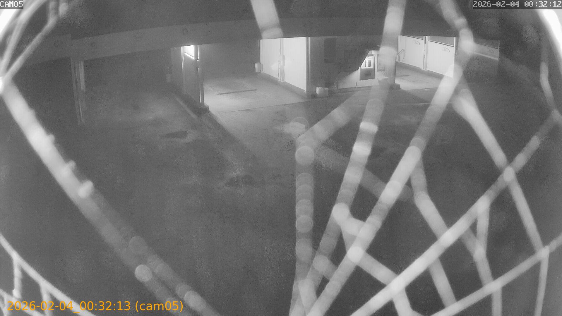 thumbnail_20260204003213