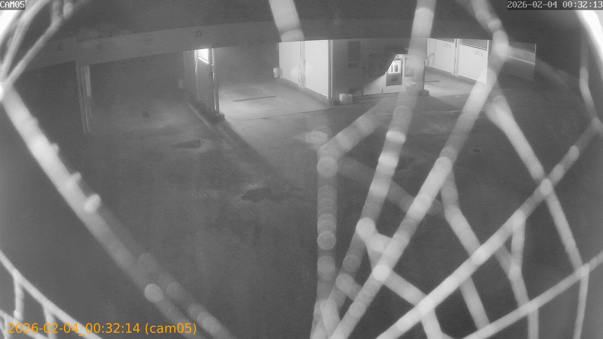 thumbnail_20260204003214