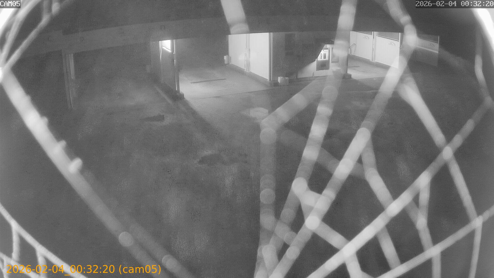 thumbnail_20260204003220