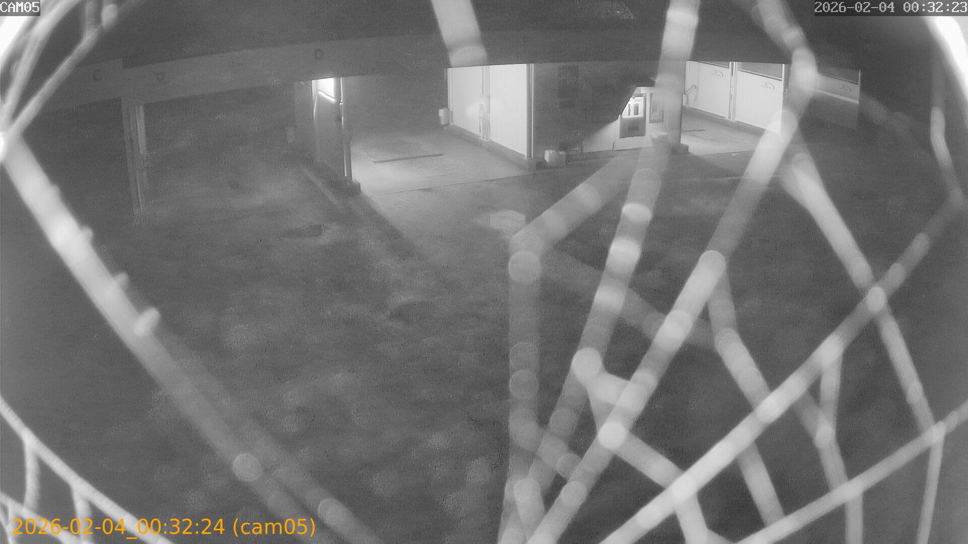 thumbnail_20260204003224