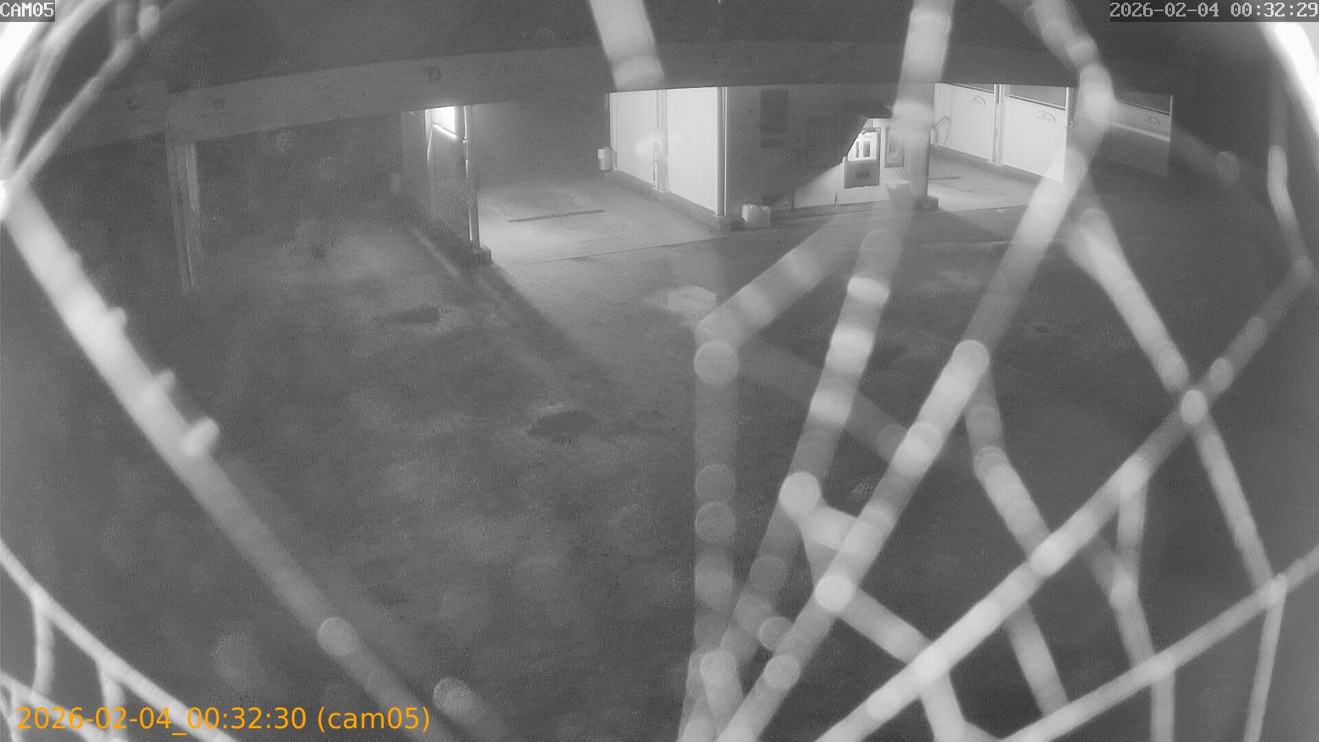 thumbnail_20260204003230