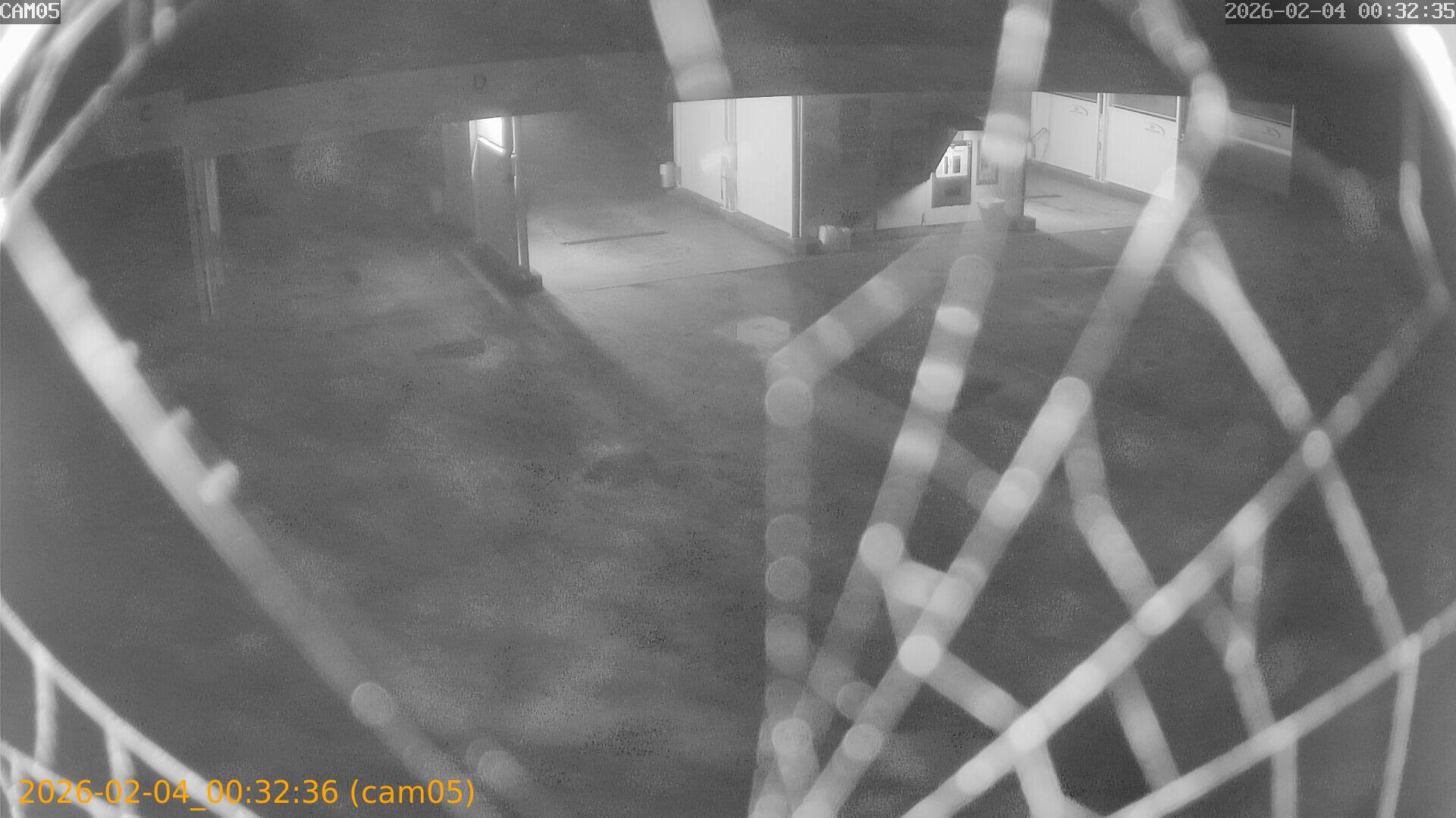 thumbnail_20260204003236