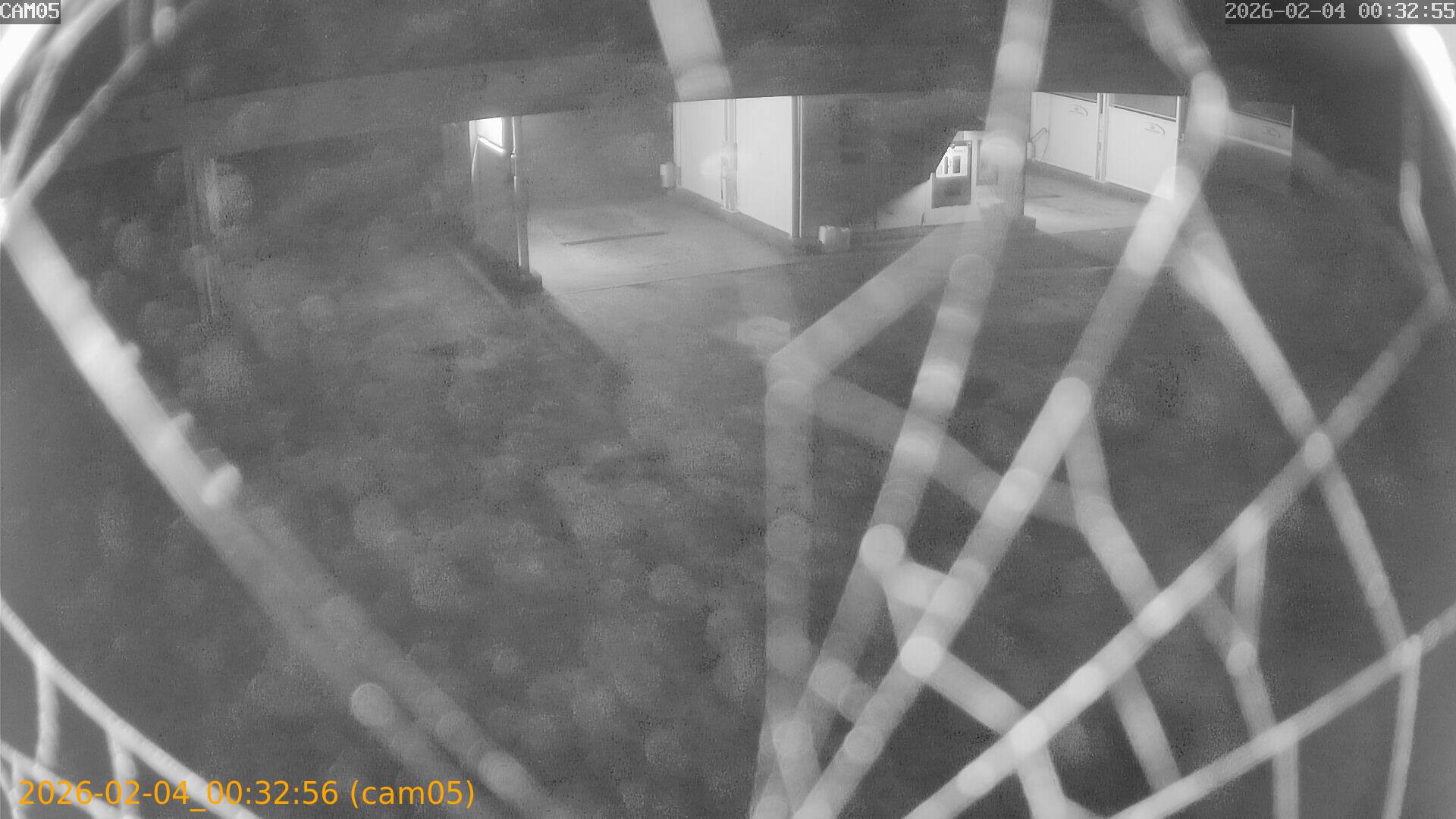 thumbnail_20260204003256