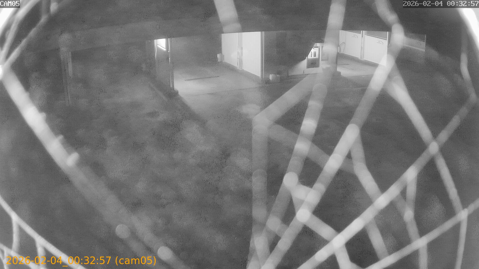 thumbnail_20260204003257