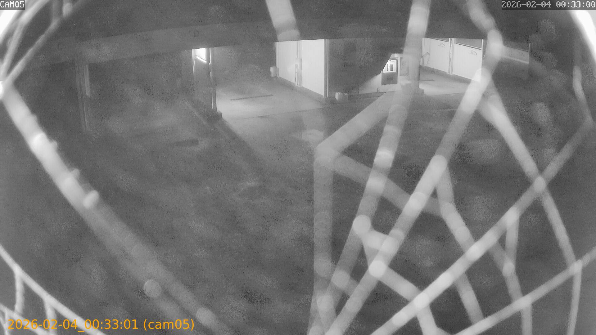 thumbnail_20260204003301