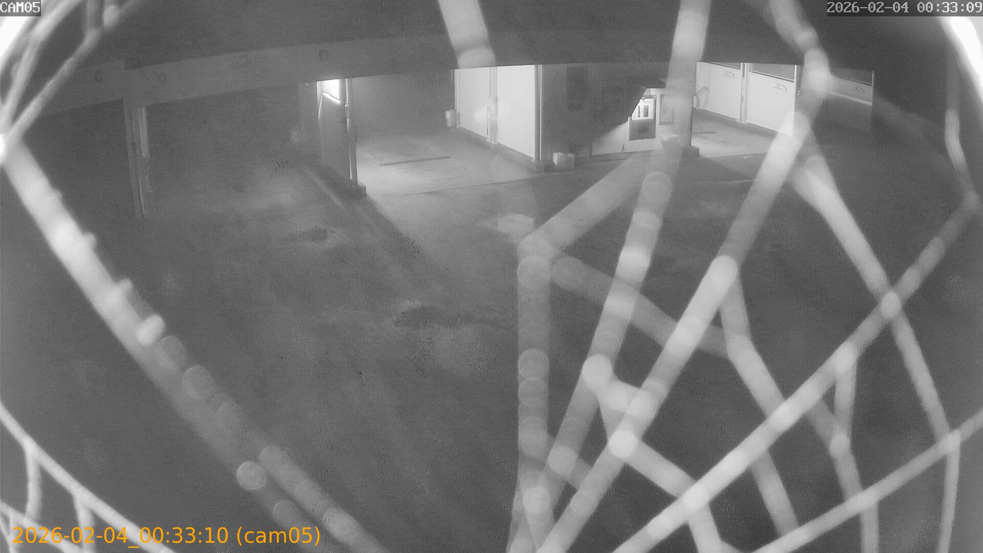 thumbnail_20260204003310