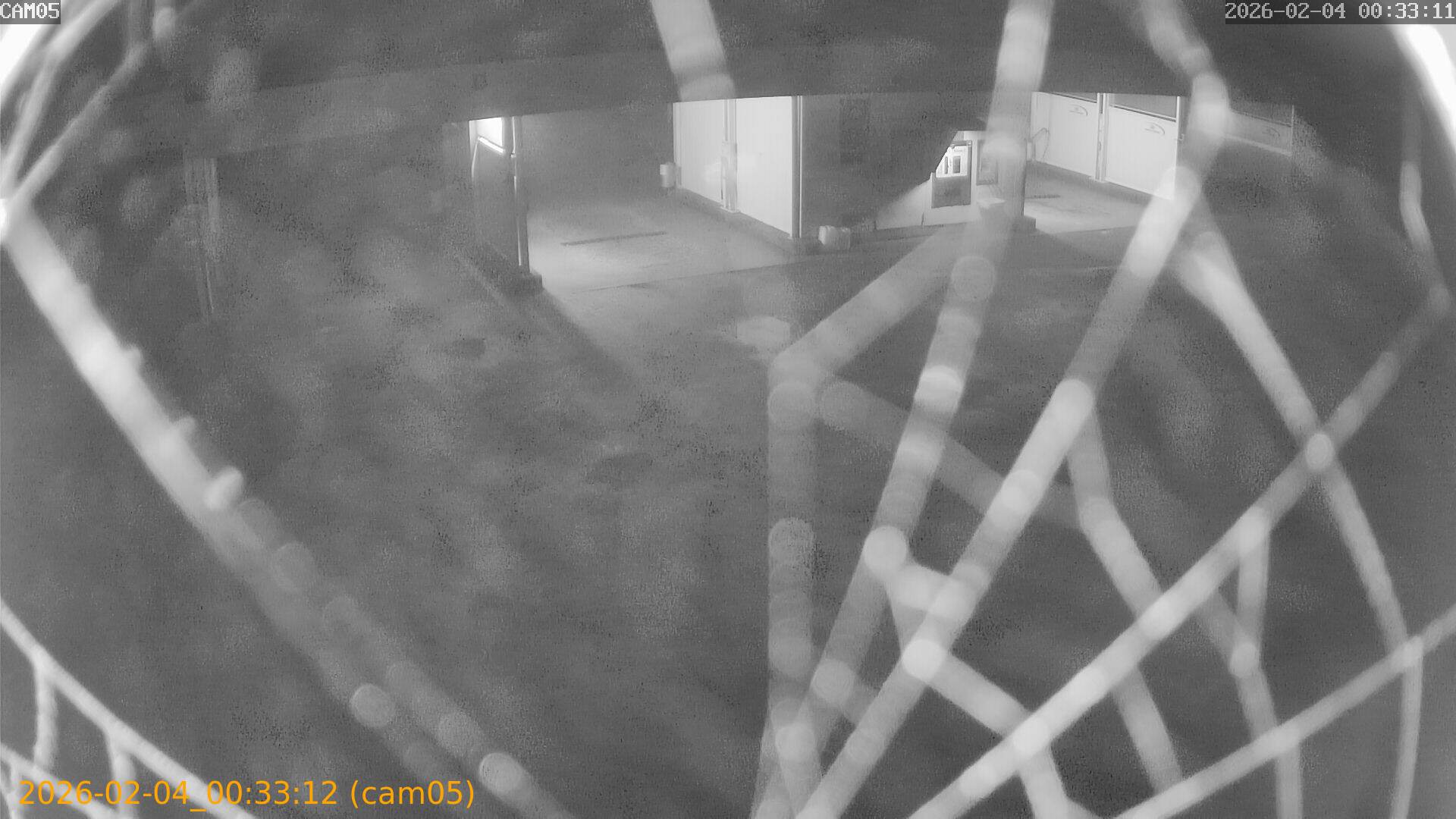 thumbnail_20260204003312