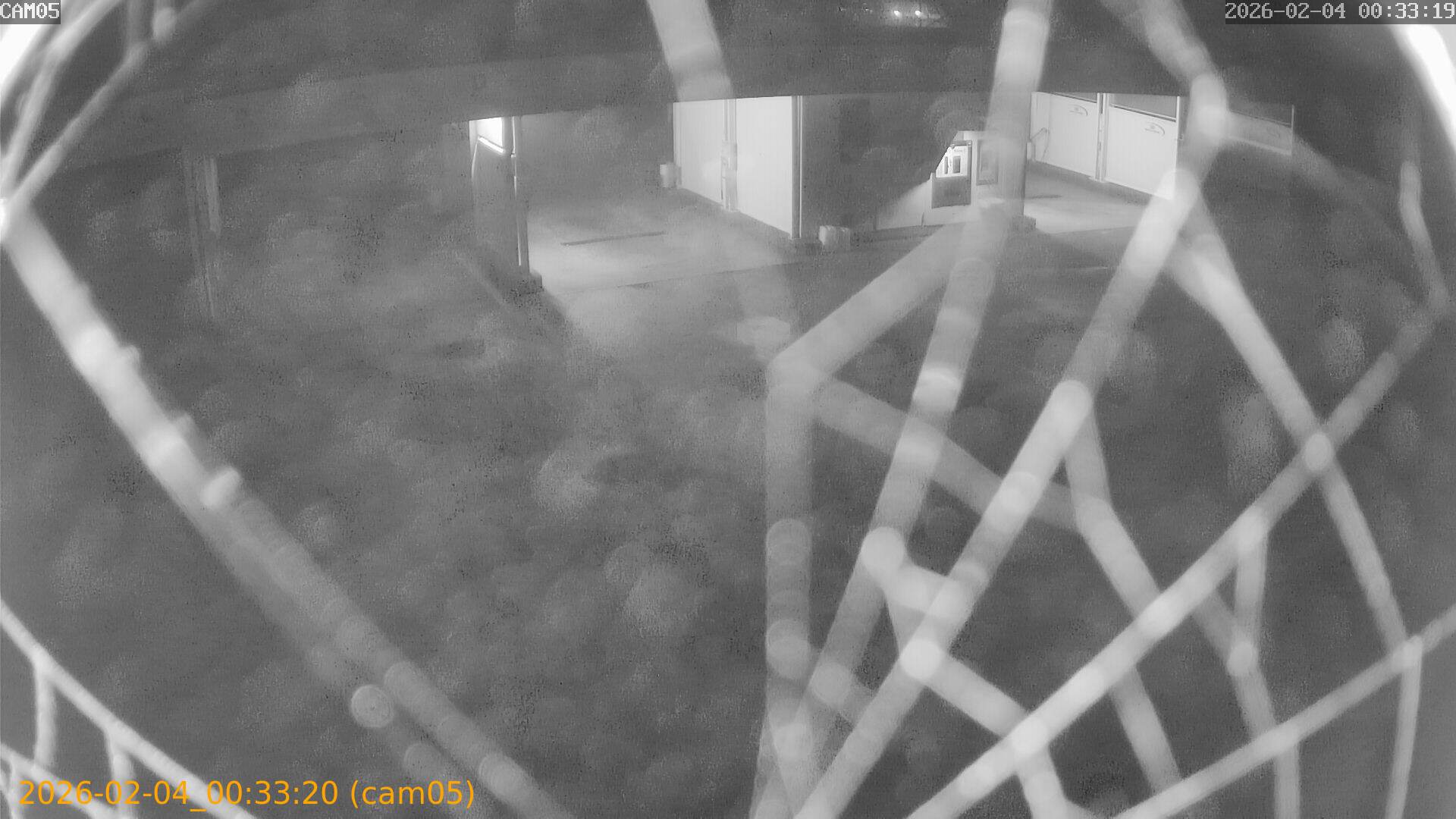 thumbnail_20260204003320