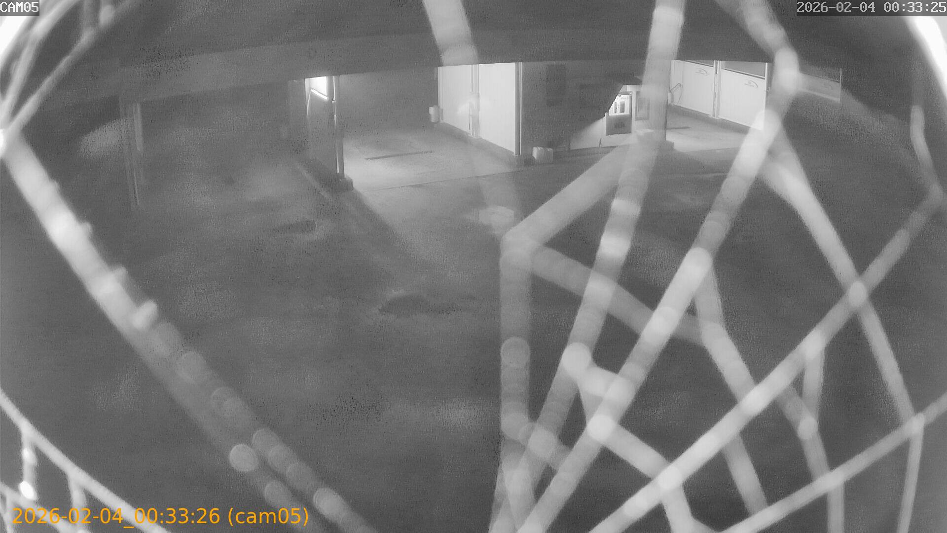 thumbnail_20260204003326