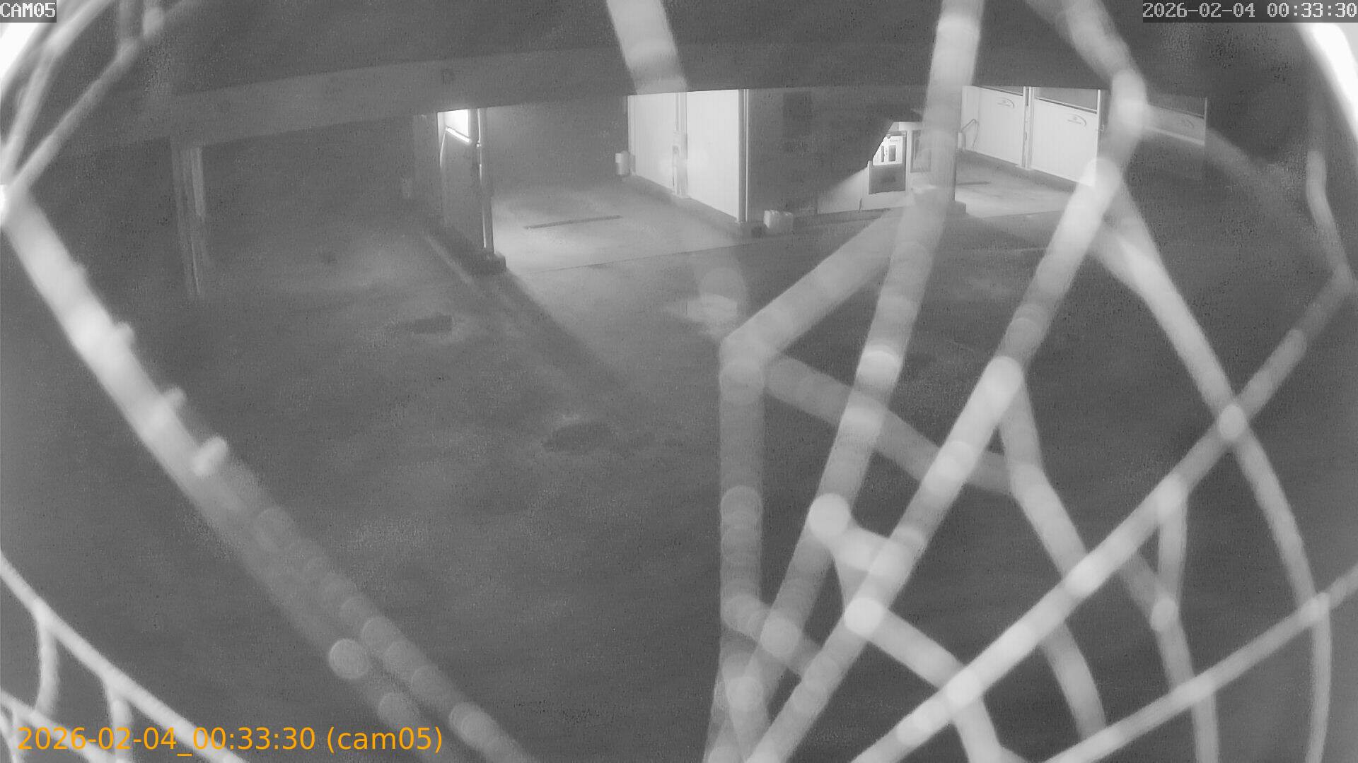 thumbnail_20260204003330