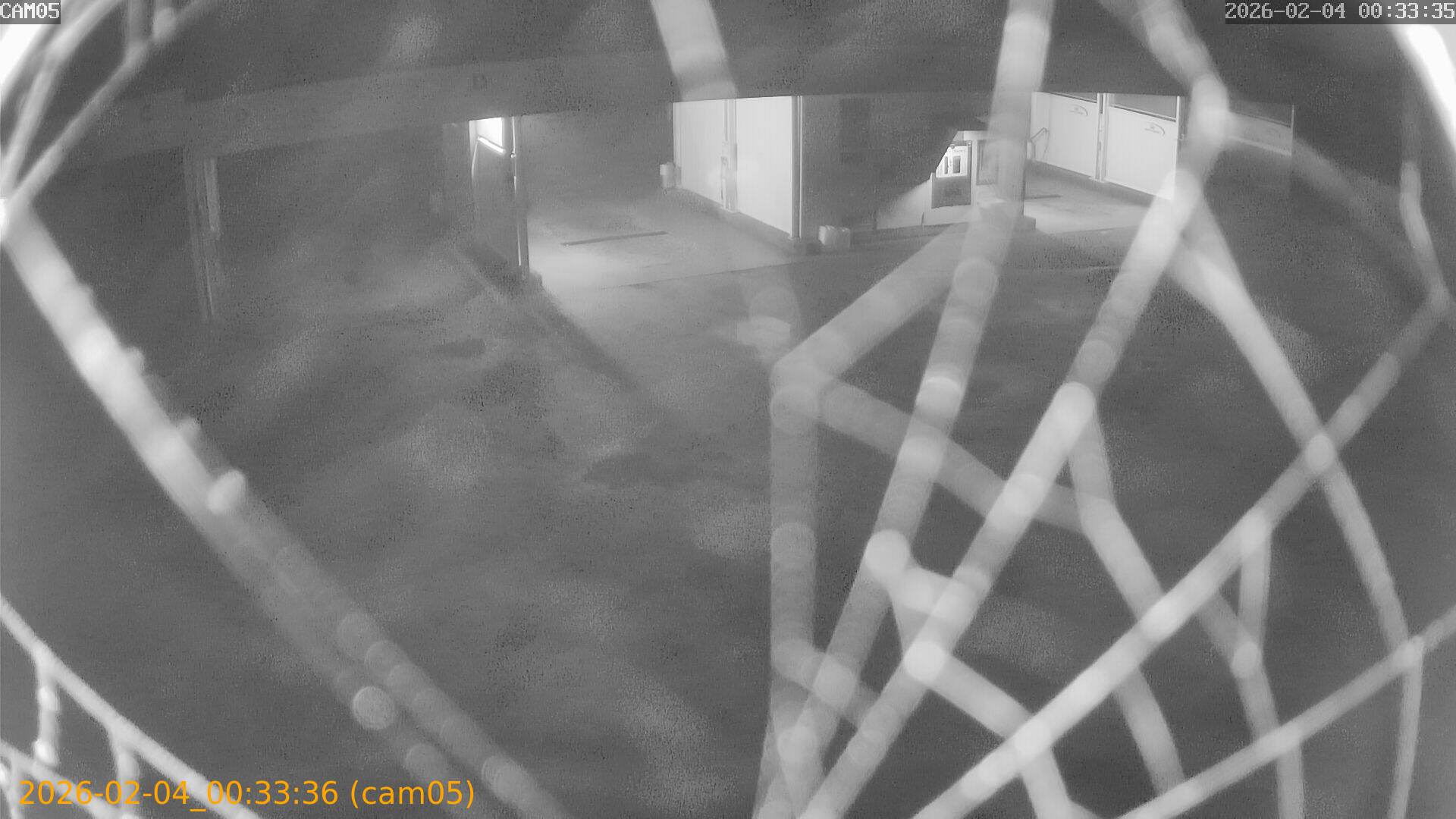 thumbnail_20260204003336