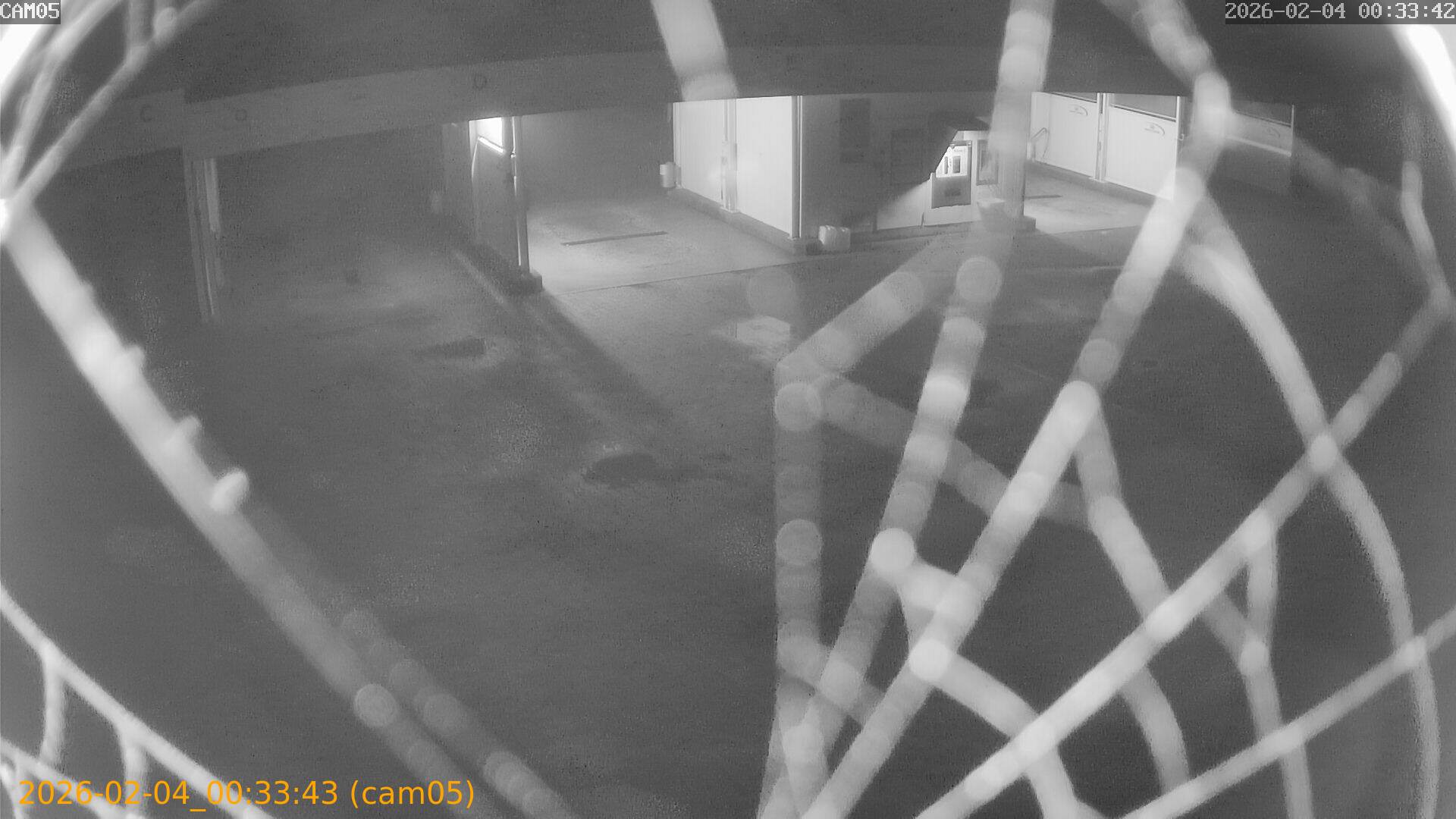 thumbnail_20260204003343