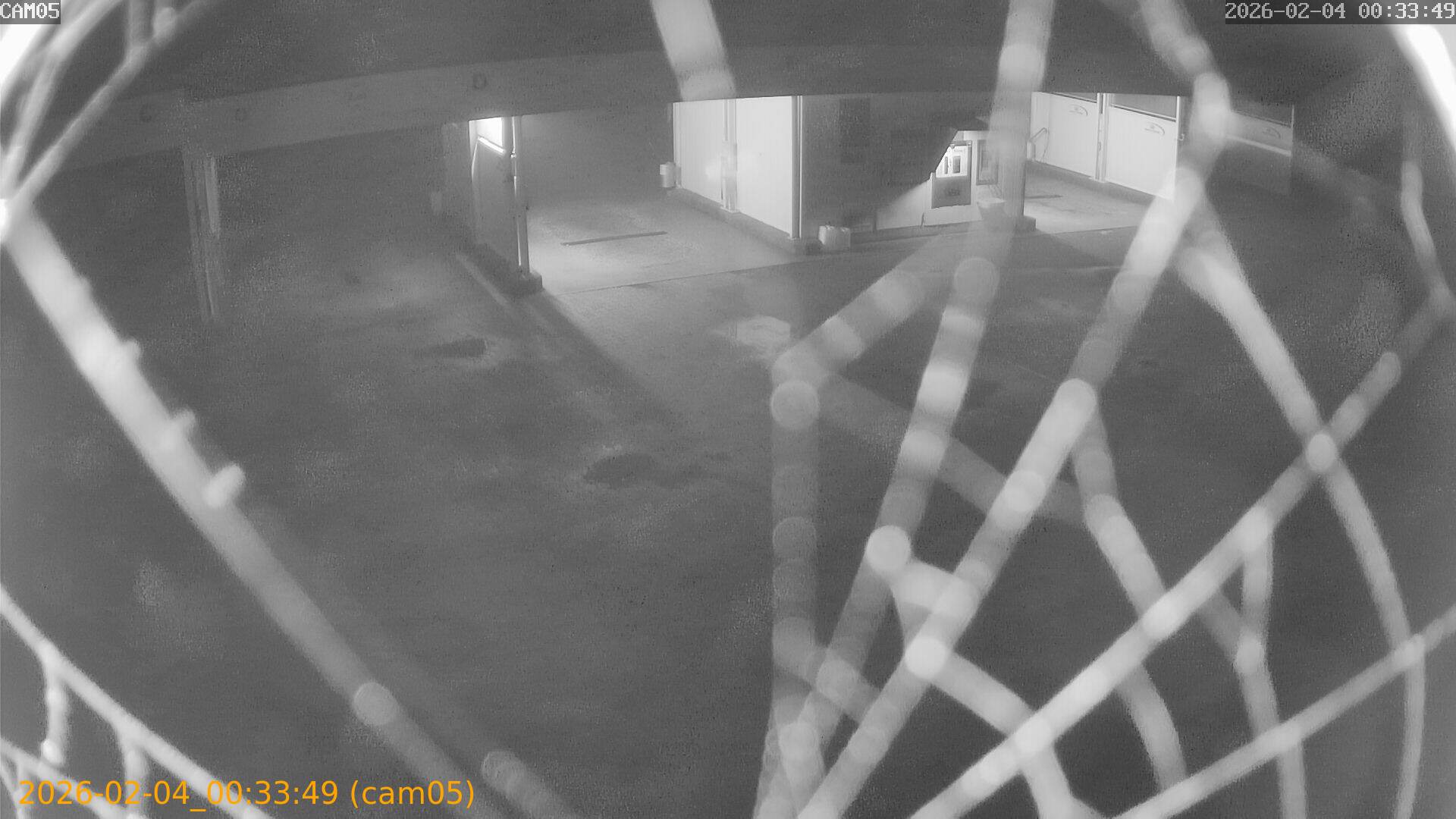 thumbnail_20260204003349