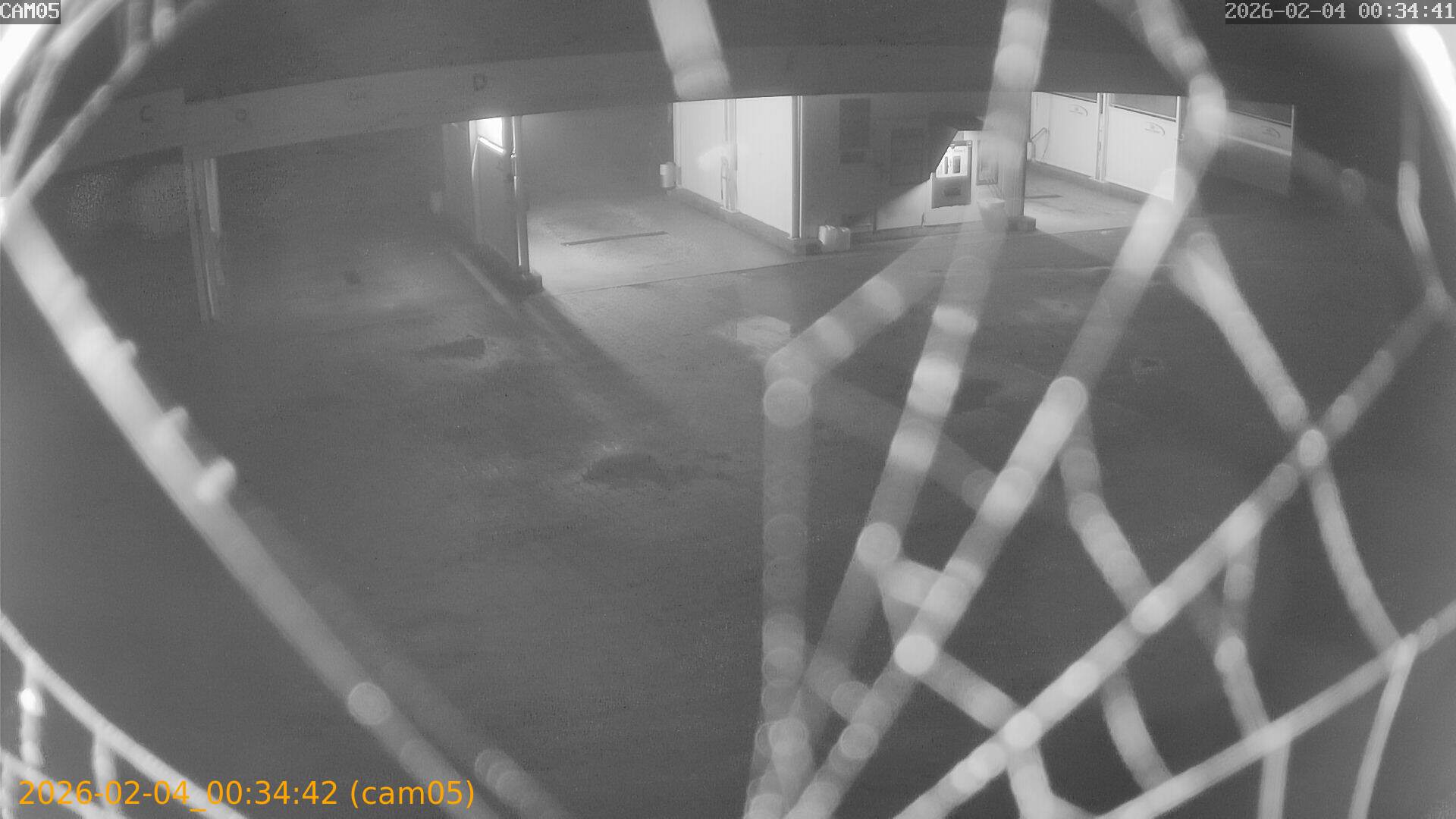 thumbnail_20260204003442