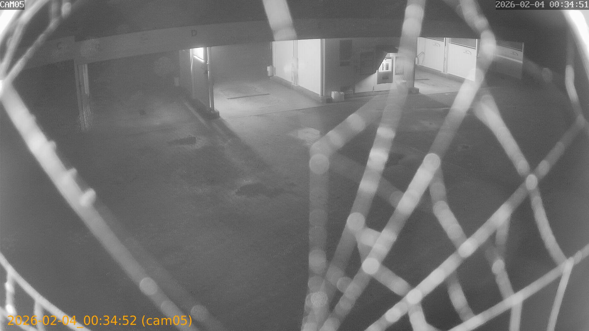 thumbnail_20260204003452