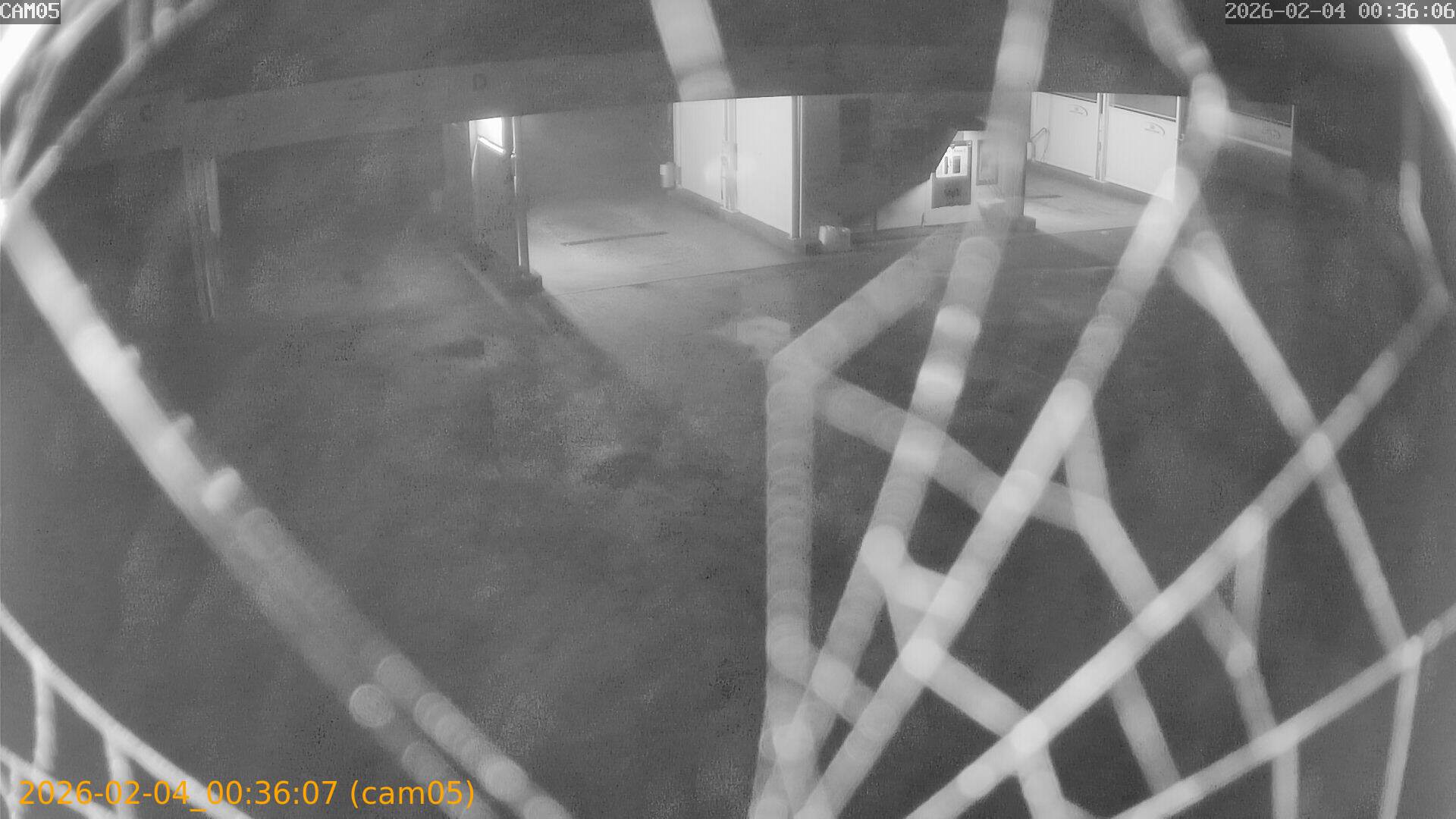 thumbnail_20260204003607