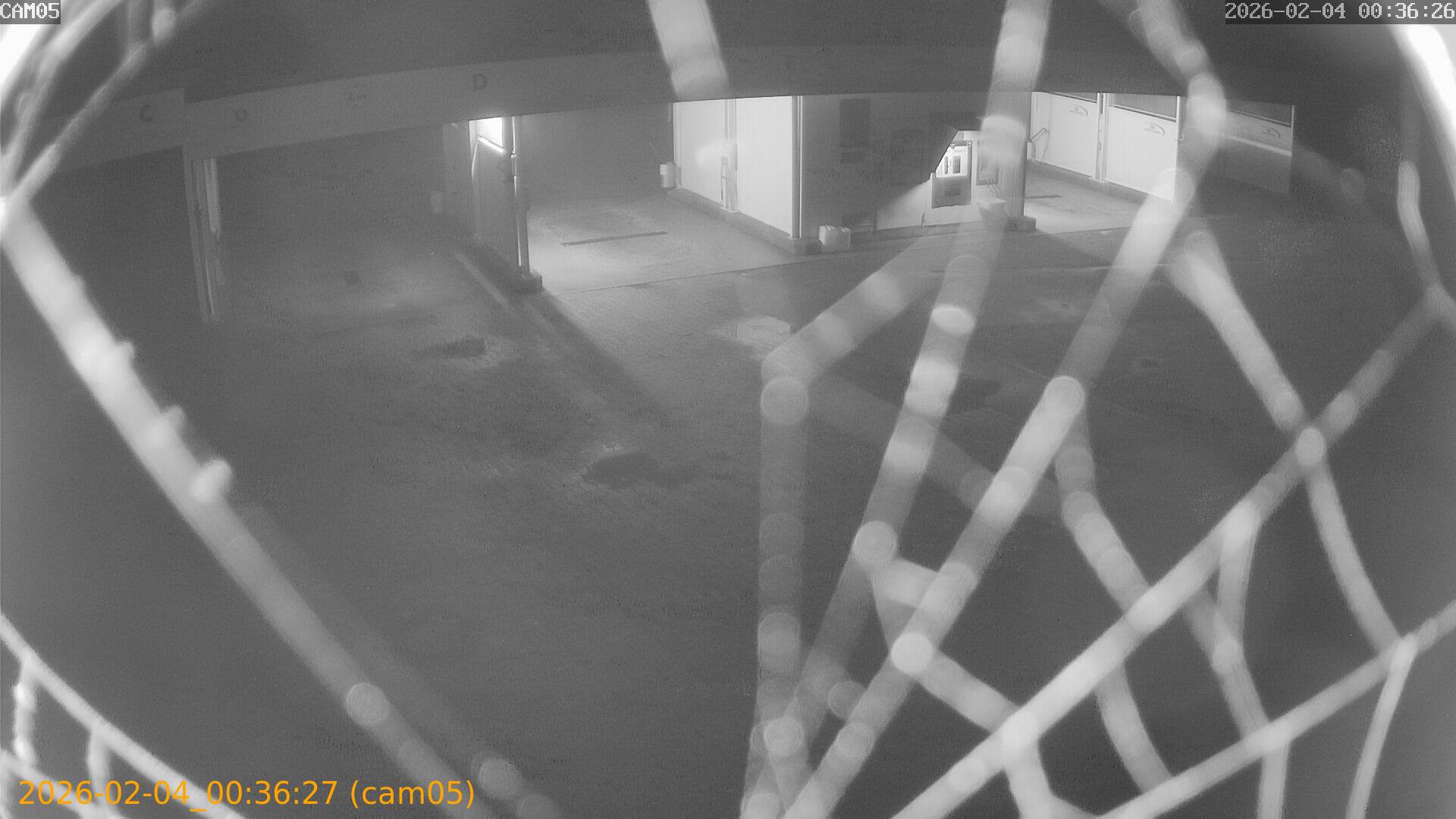 thumbnail_20260204003627